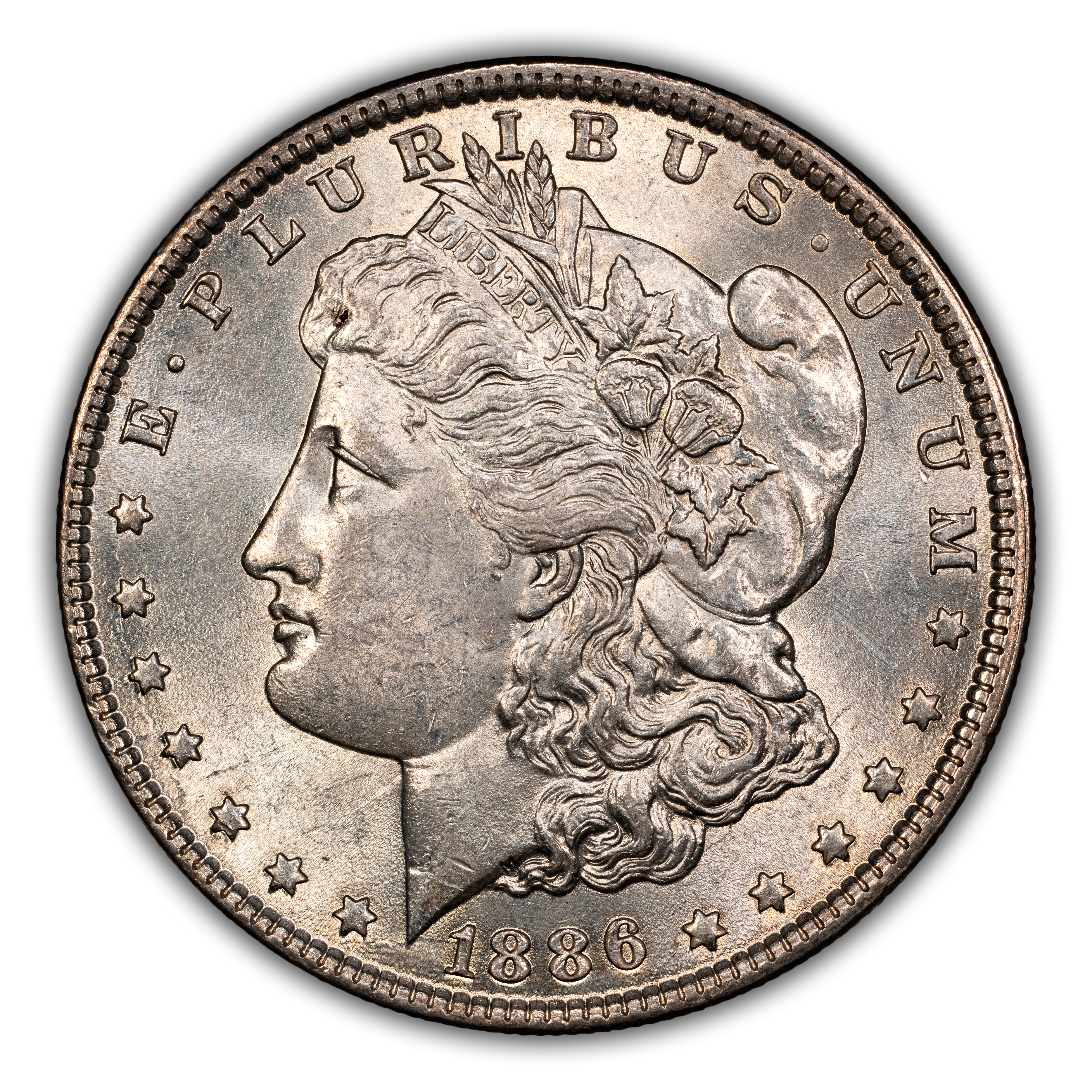 1886 $1  MS thumbnail 3