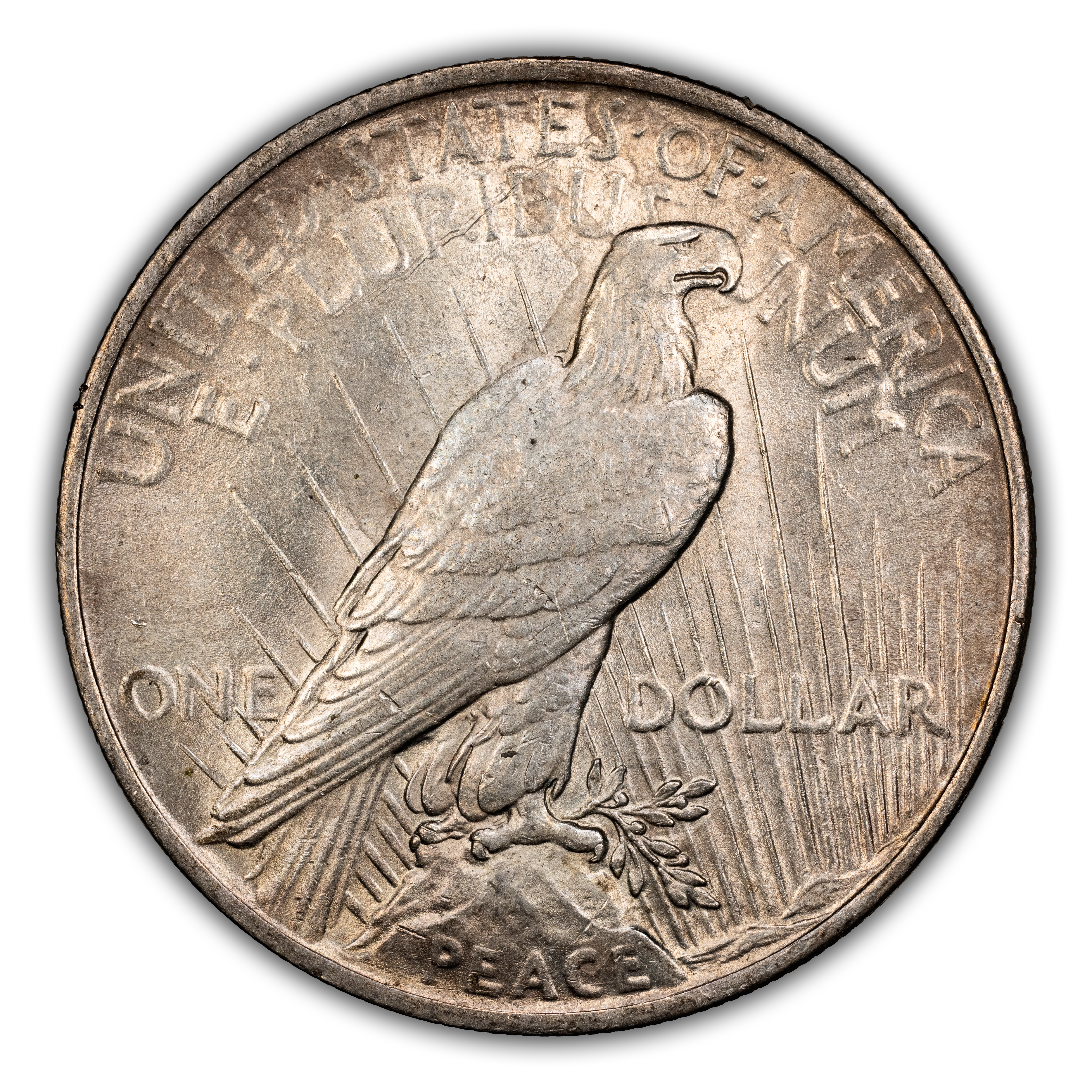 1923 $1  Whisker Cheek, VAM-1D MS thumbnail 12
