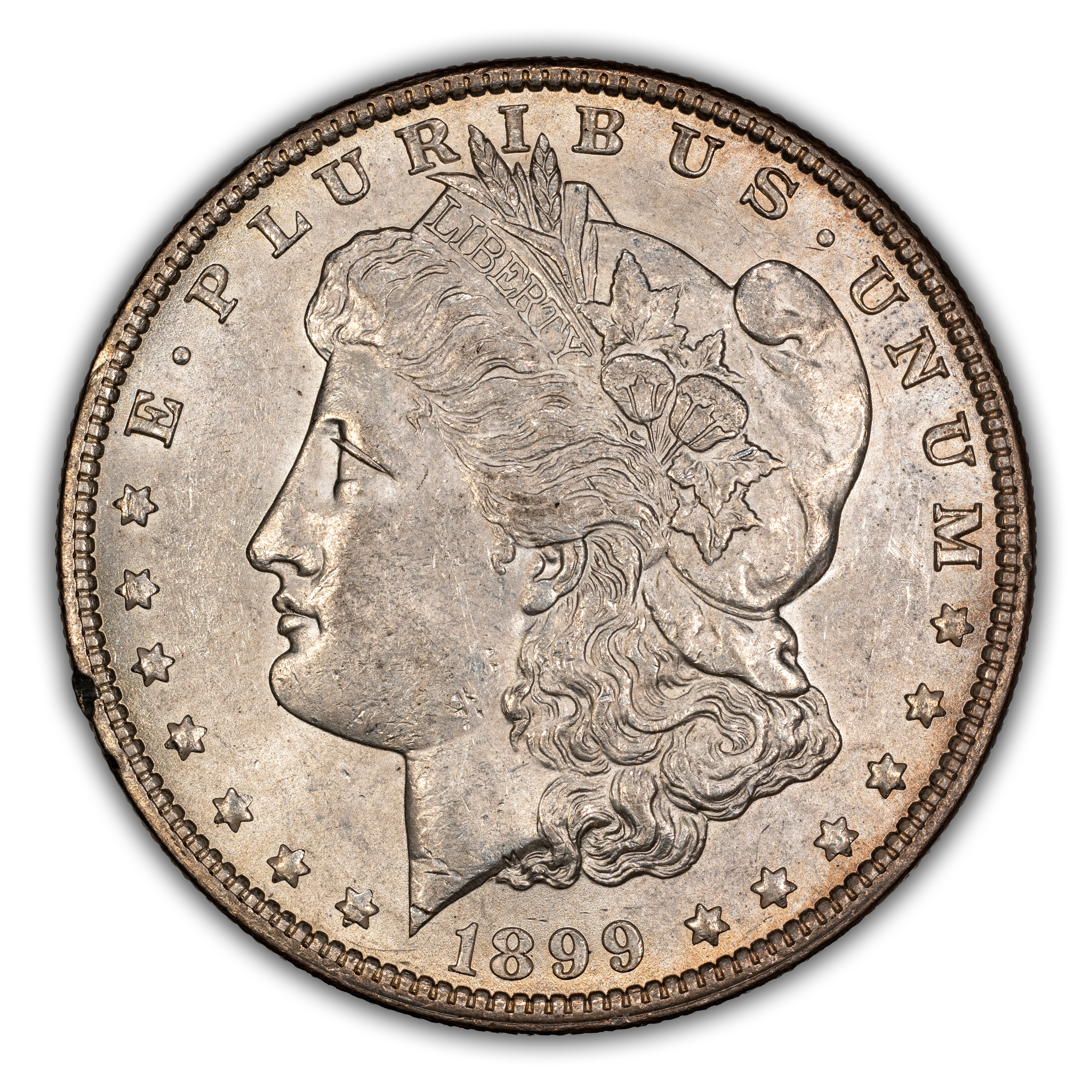 1899 $1  MS thumbnail 3