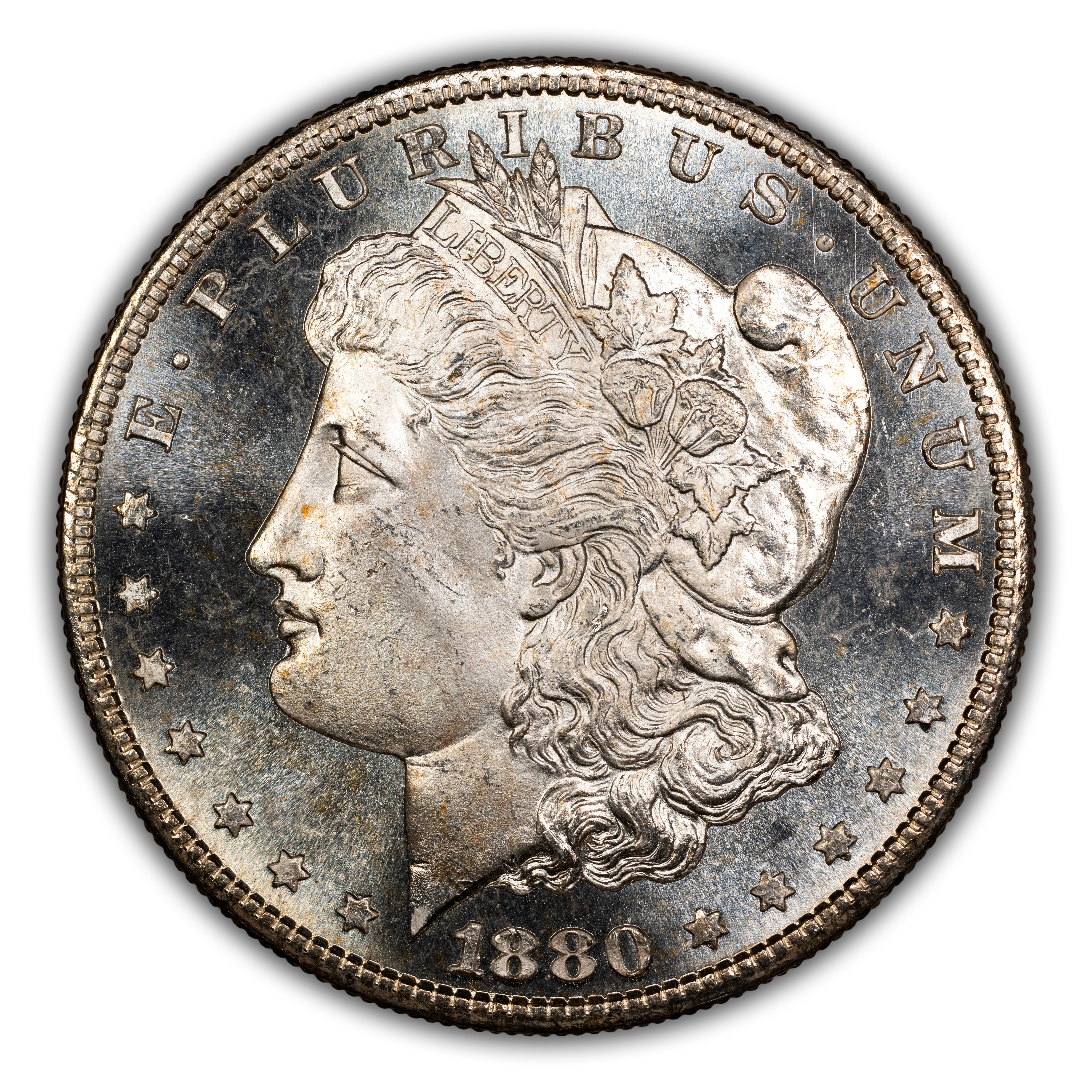 1880-S $1  Doubled Date, VAM-63  MS thumbnail 9