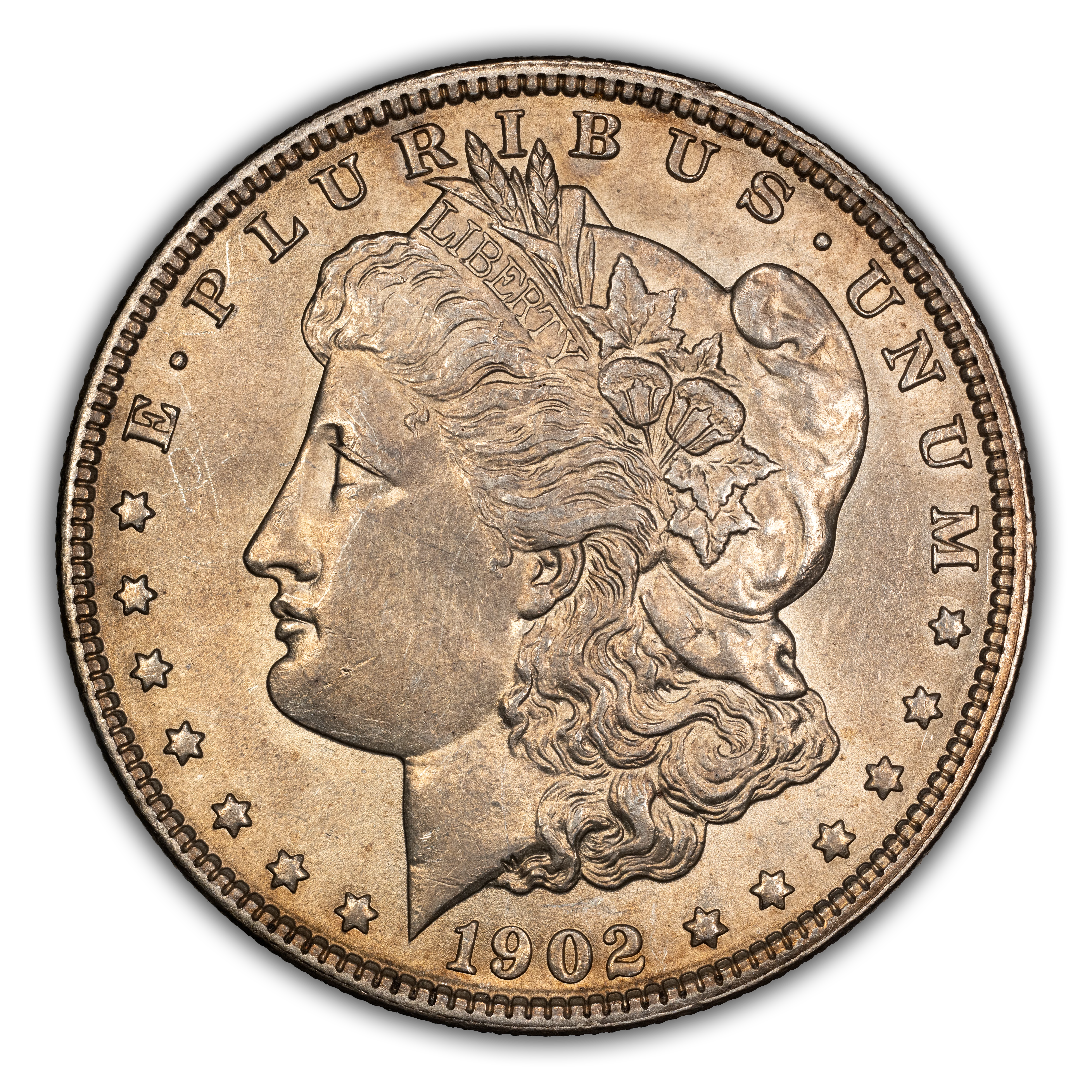 1902 $1  Doubled Profile, VAM-5 MS thumbnail 3