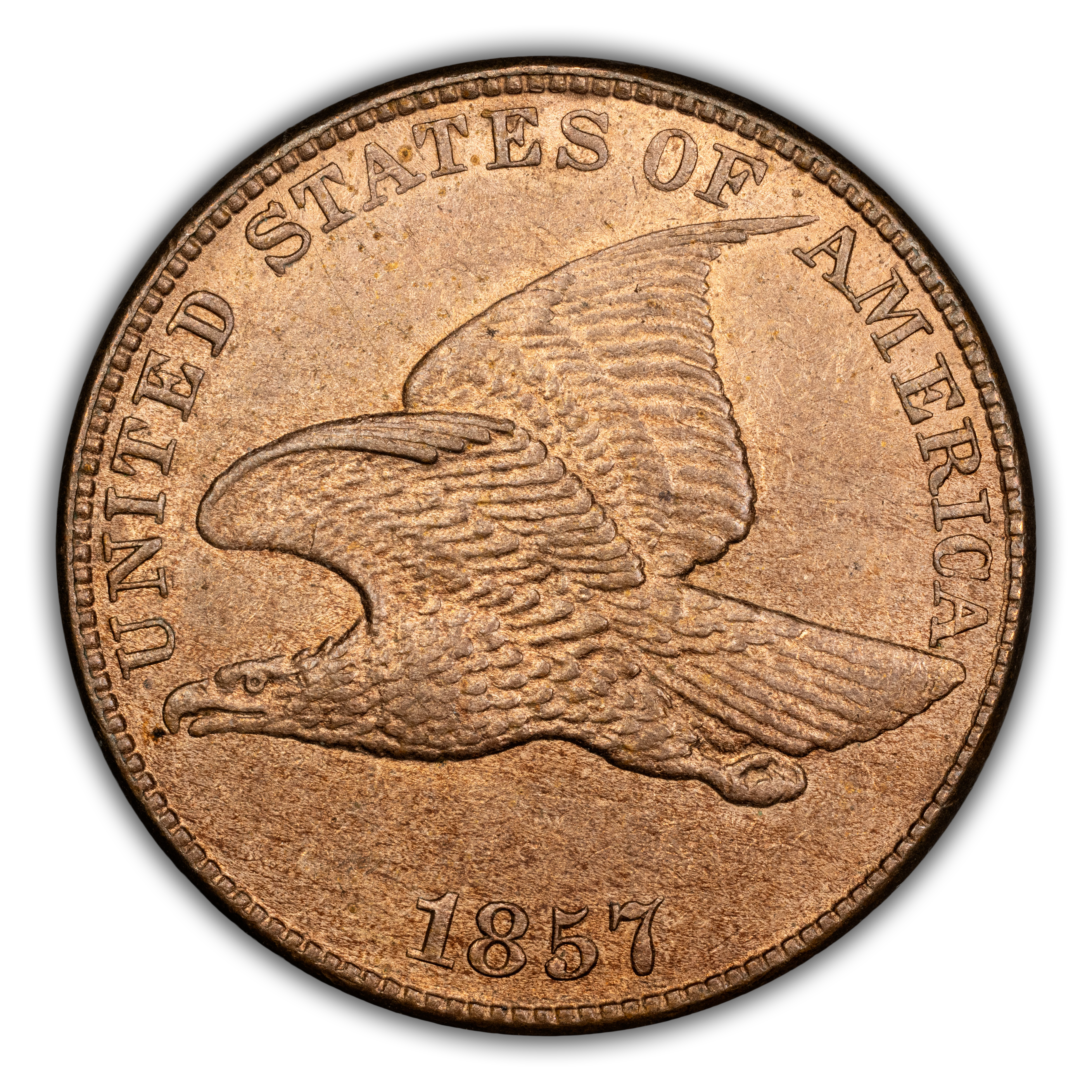 Flying Eagle Cent Set 1c 4 Coins MS thumbnail 9