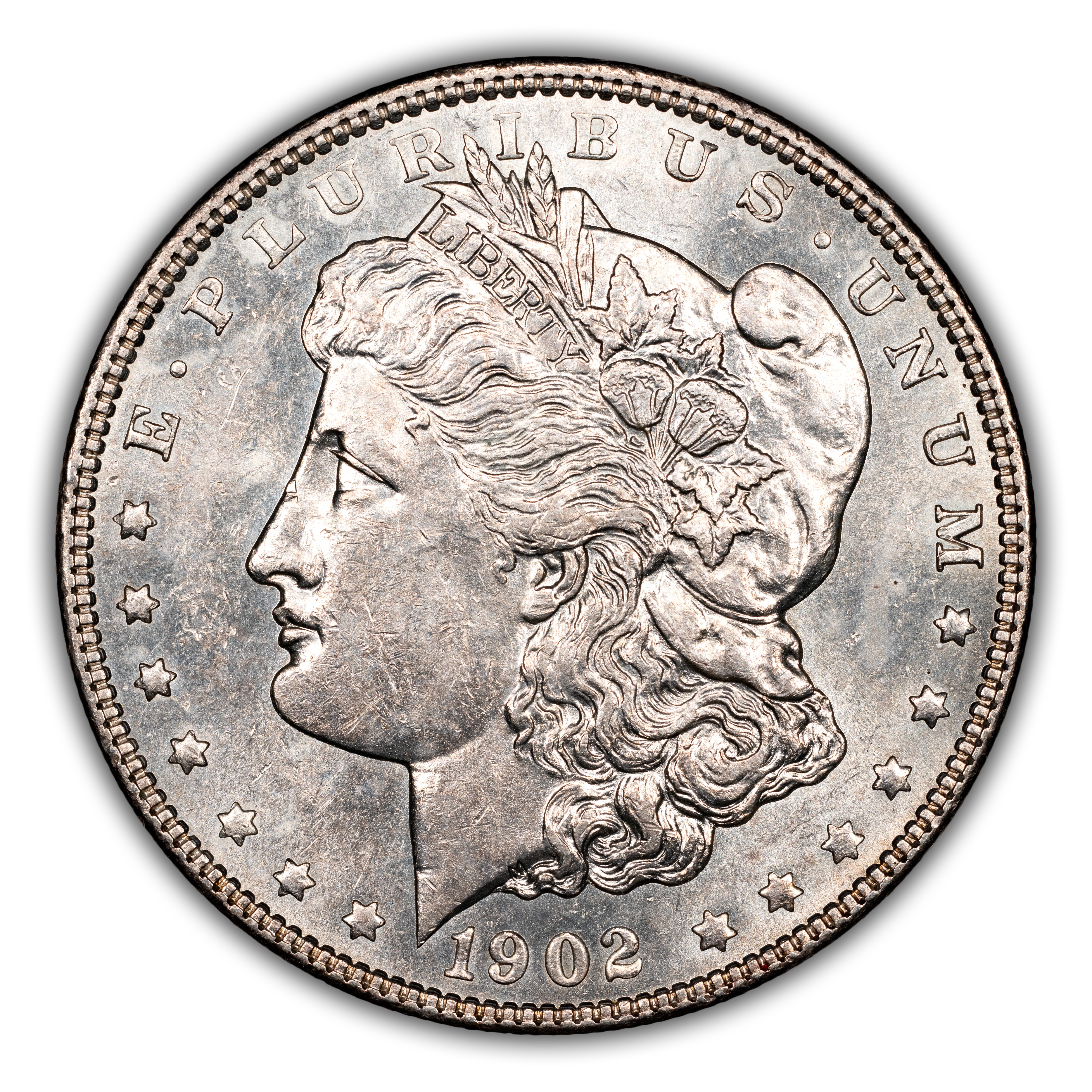 1902 $1  Doubled Profile, VAM-5 MS thumbnail 2
