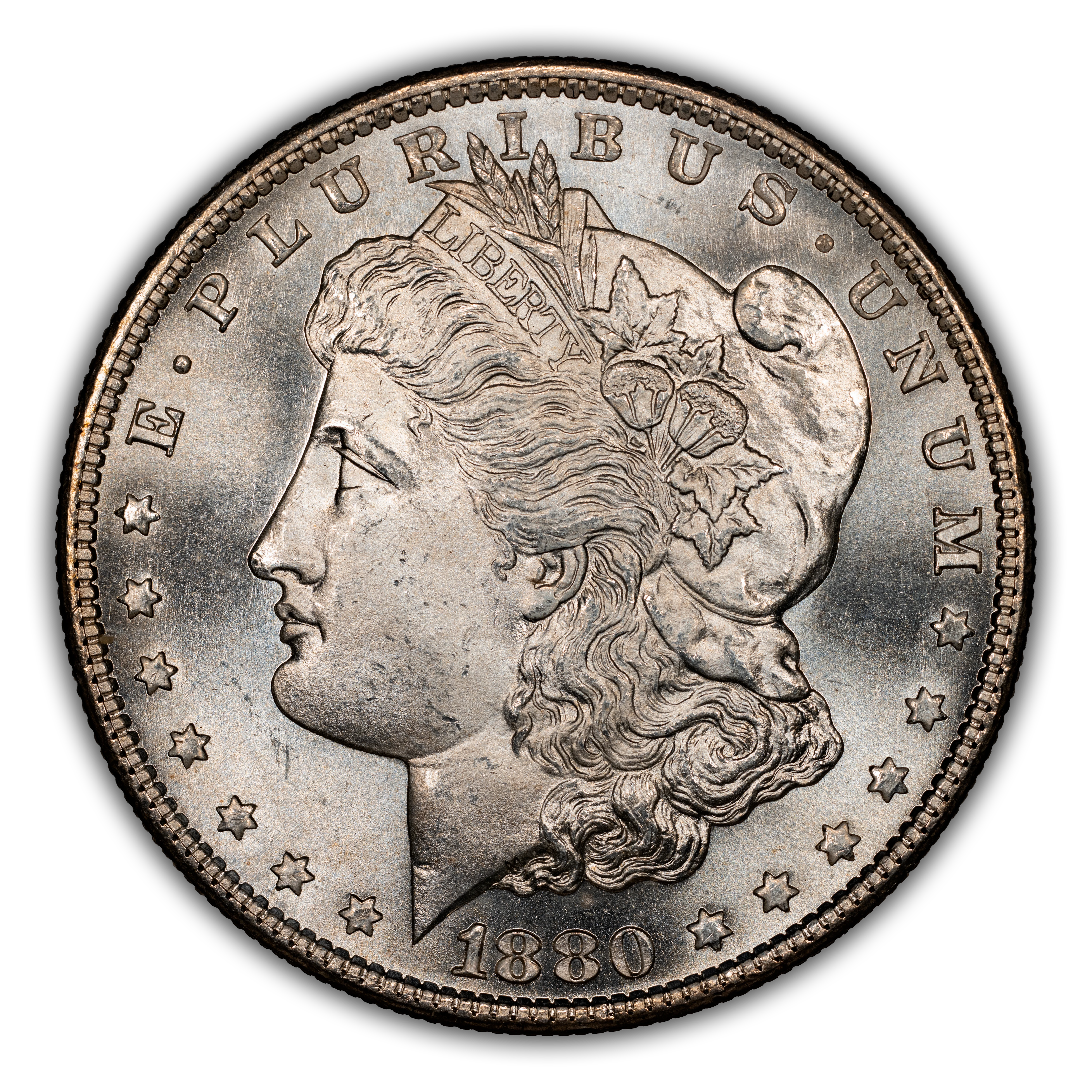 1880-S $1  Doubled Date, VAM-63  MS thumbnail 6