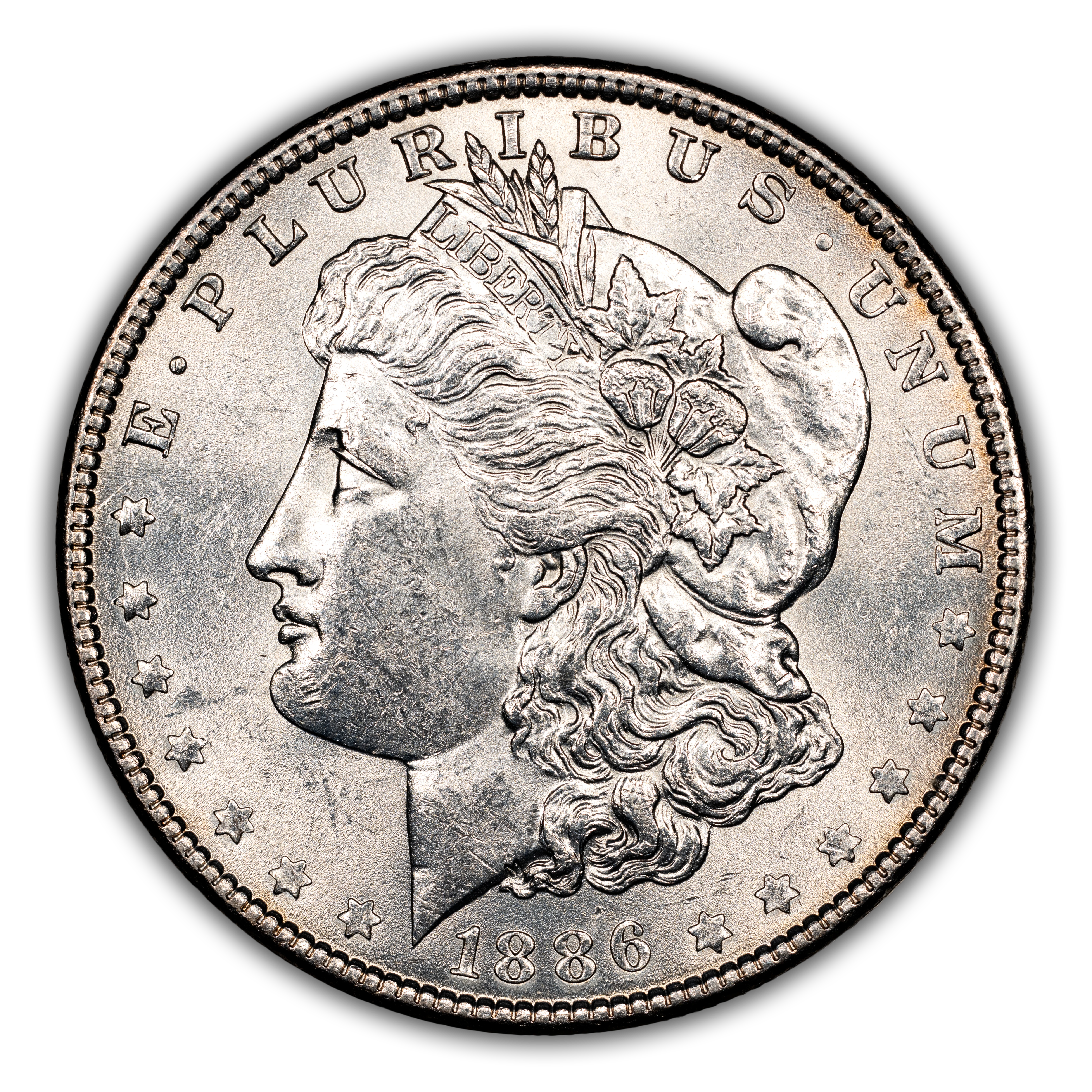 1886 $1  VAM-1E2 MS thumbnail 6