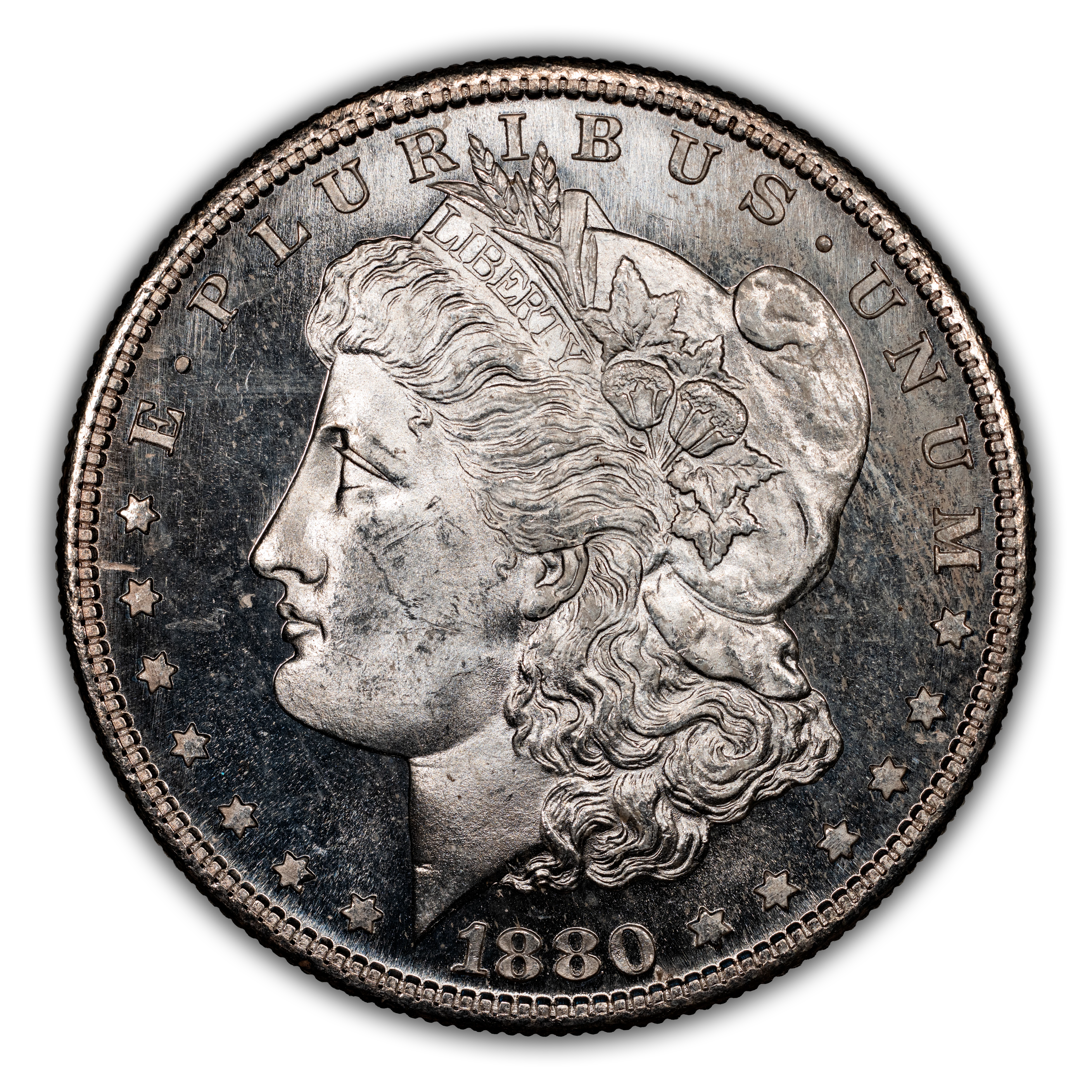 1880-S $1  Doubled Date, VAM-63  MS thumbnail 7
