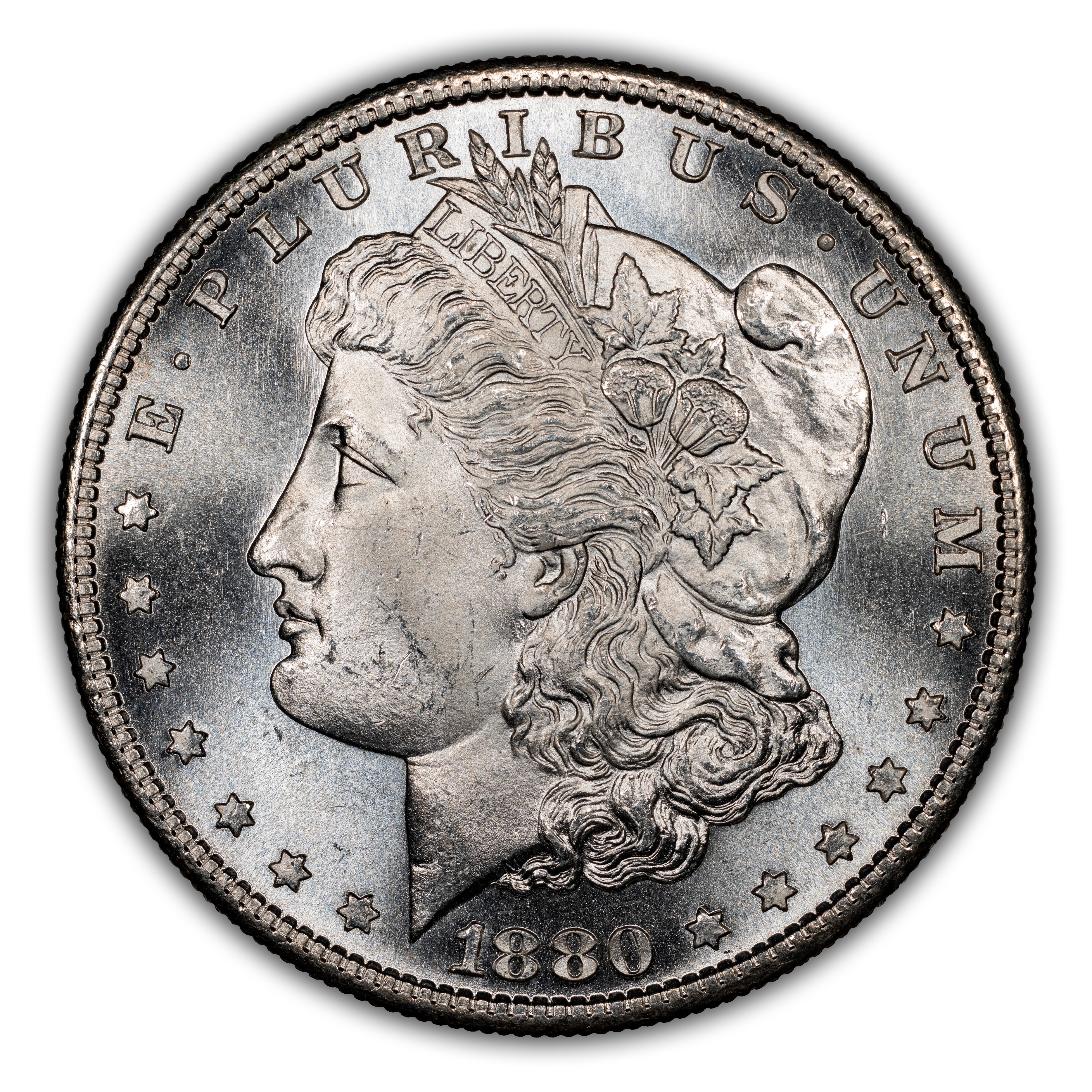 1880-S $1  Doubled Date, VAM-63  MS thumbnail 8