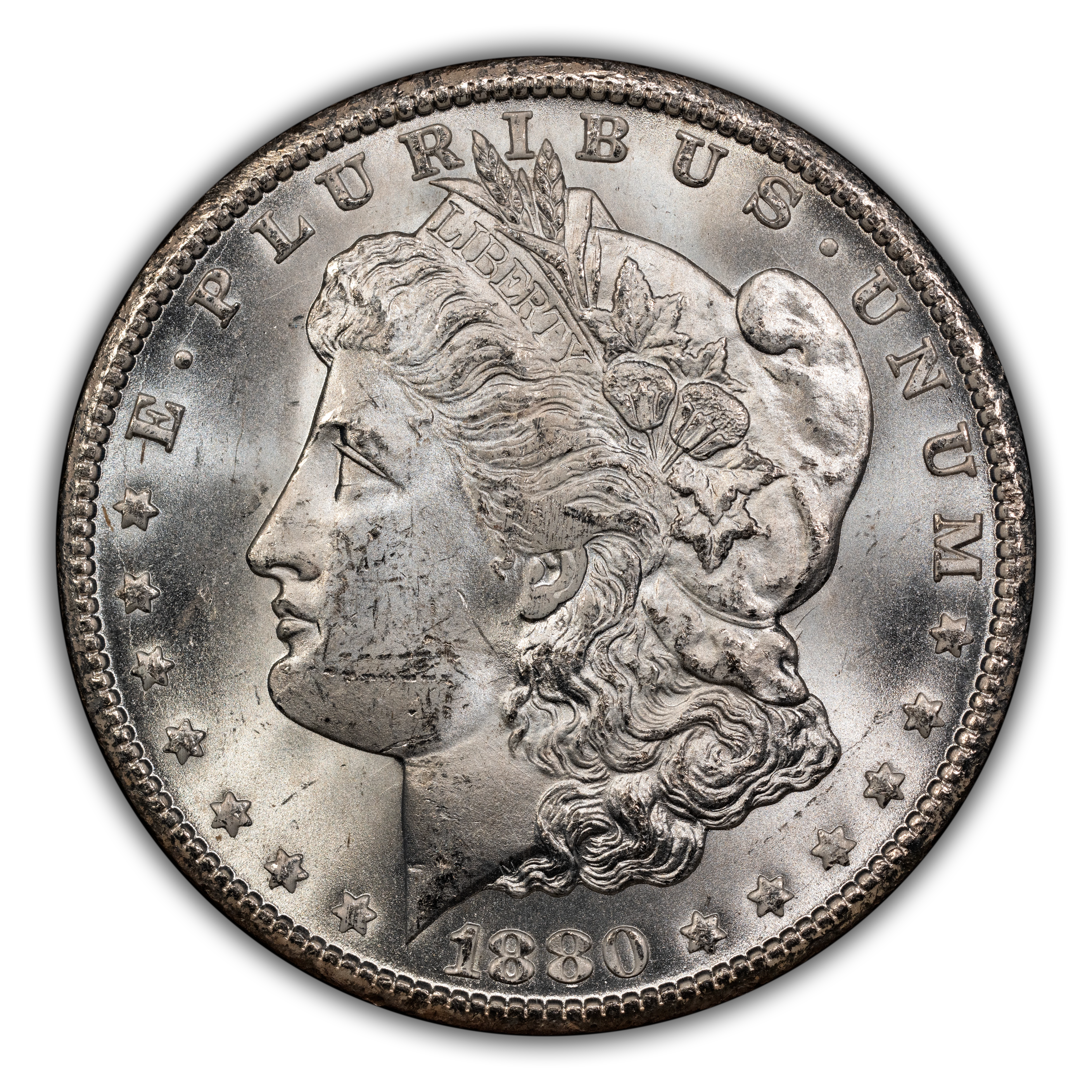 1880-CC $1  GSA Hoard, 8/7, VAM-8 MS thumbnail 2