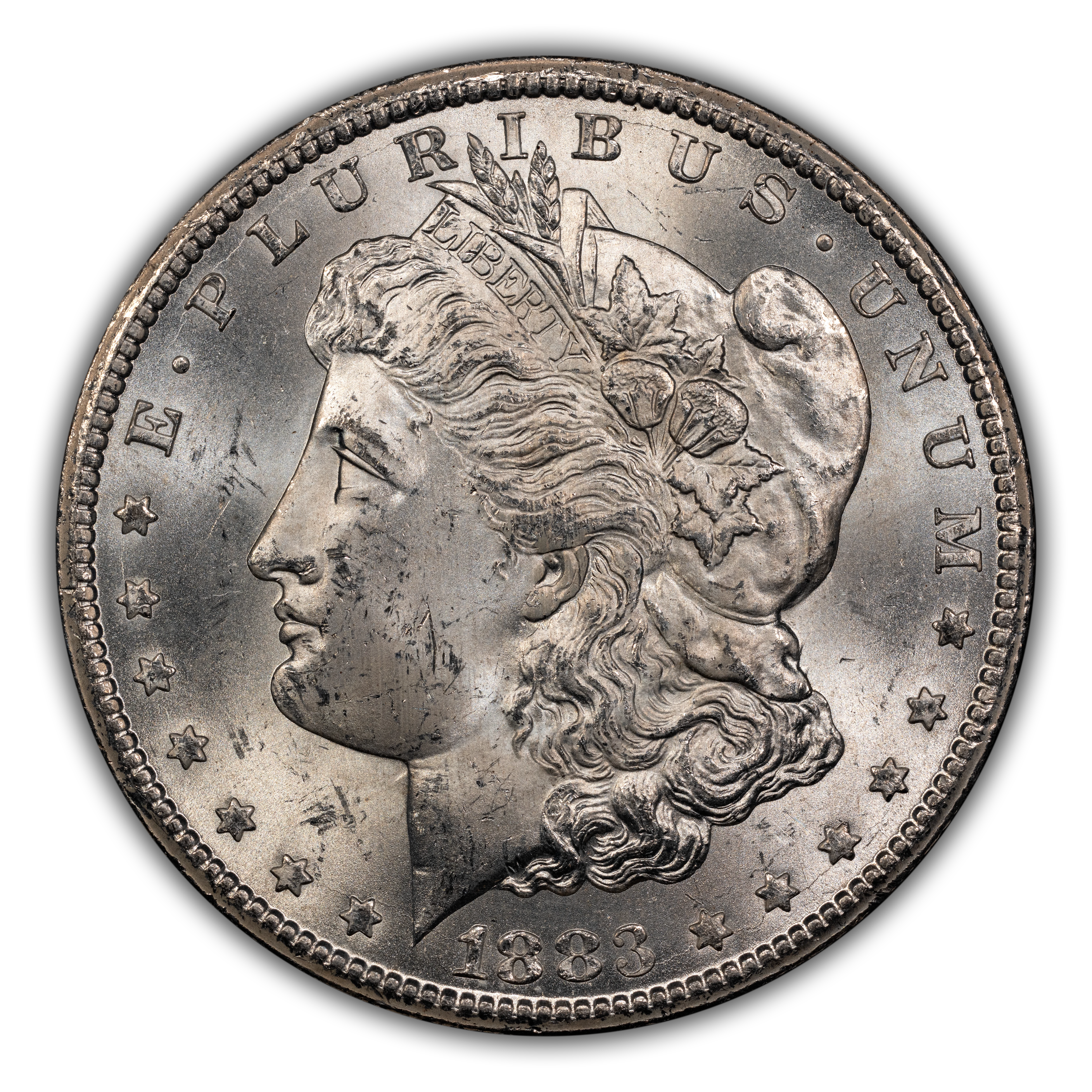 1883-CC $1  GSA Hoard, CC/CC, Polished, VAM-5B MS thumbnail 4