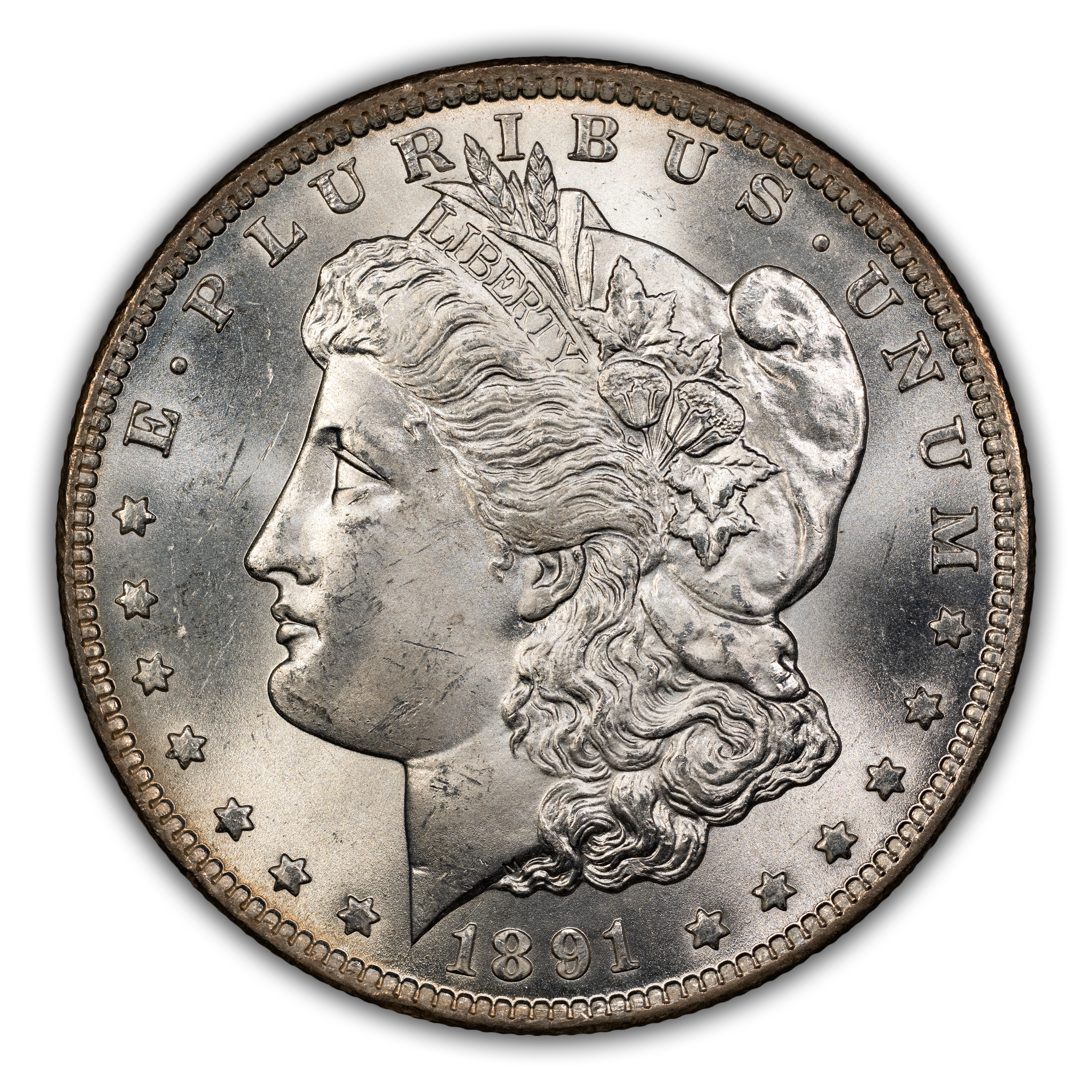 1891-CC $1  Spitting Eagle, VAM-3  MS thumbnail 3