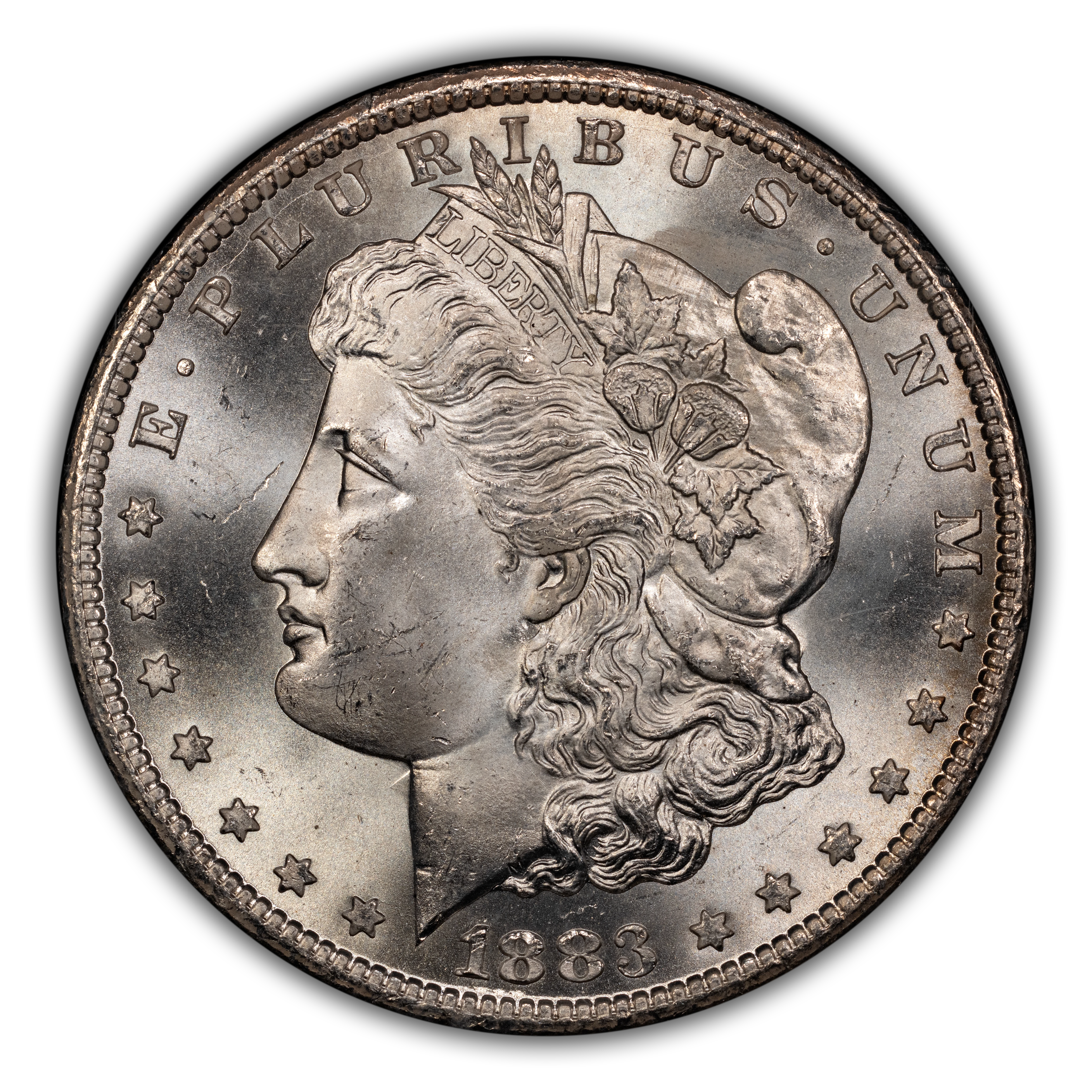 1883-CC $1  GSA Hoard, Hard package MS thumbnail 5