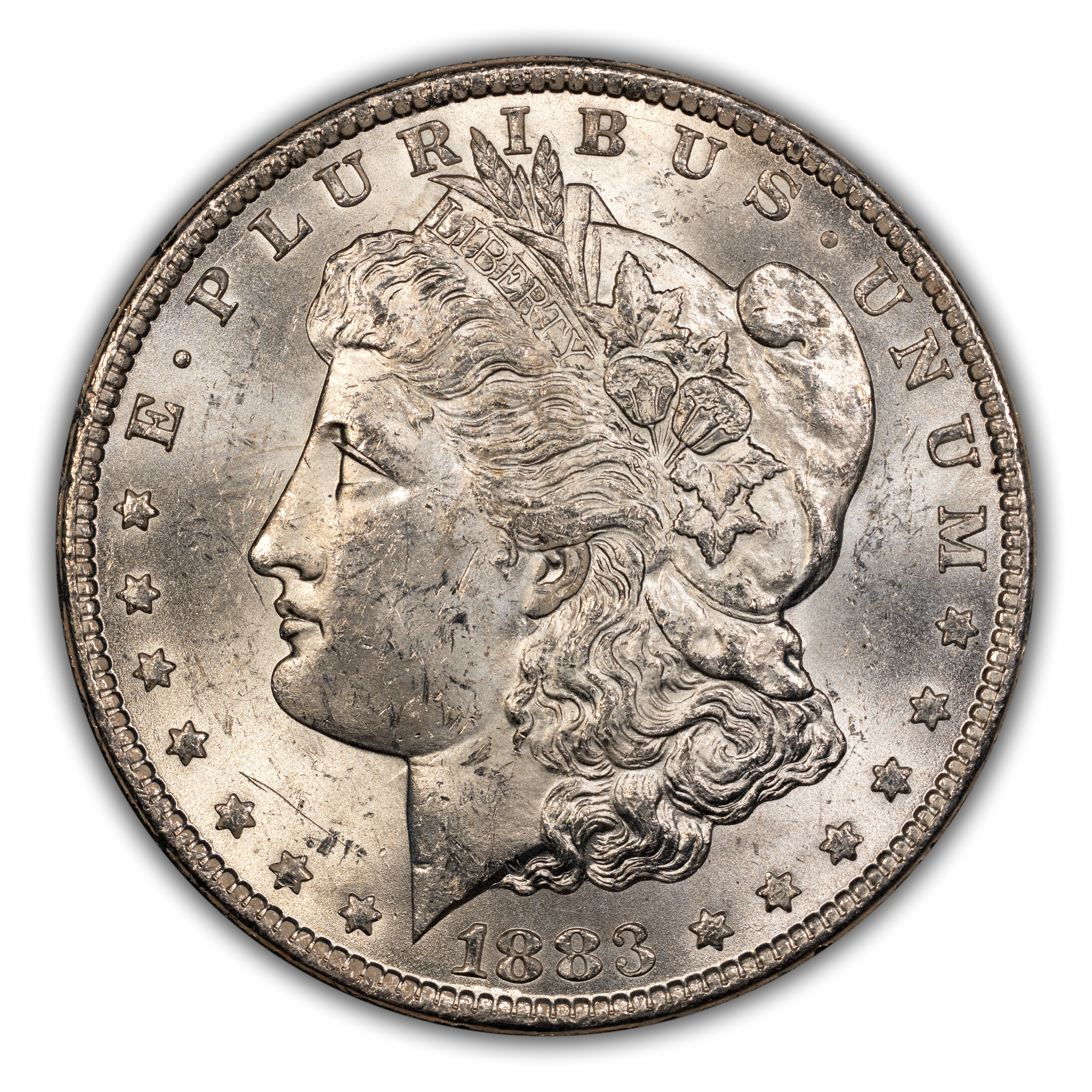 1883-CC $1  GSA Hoard, CC/CC, Polished, VAM-5B MS thumbnail 2