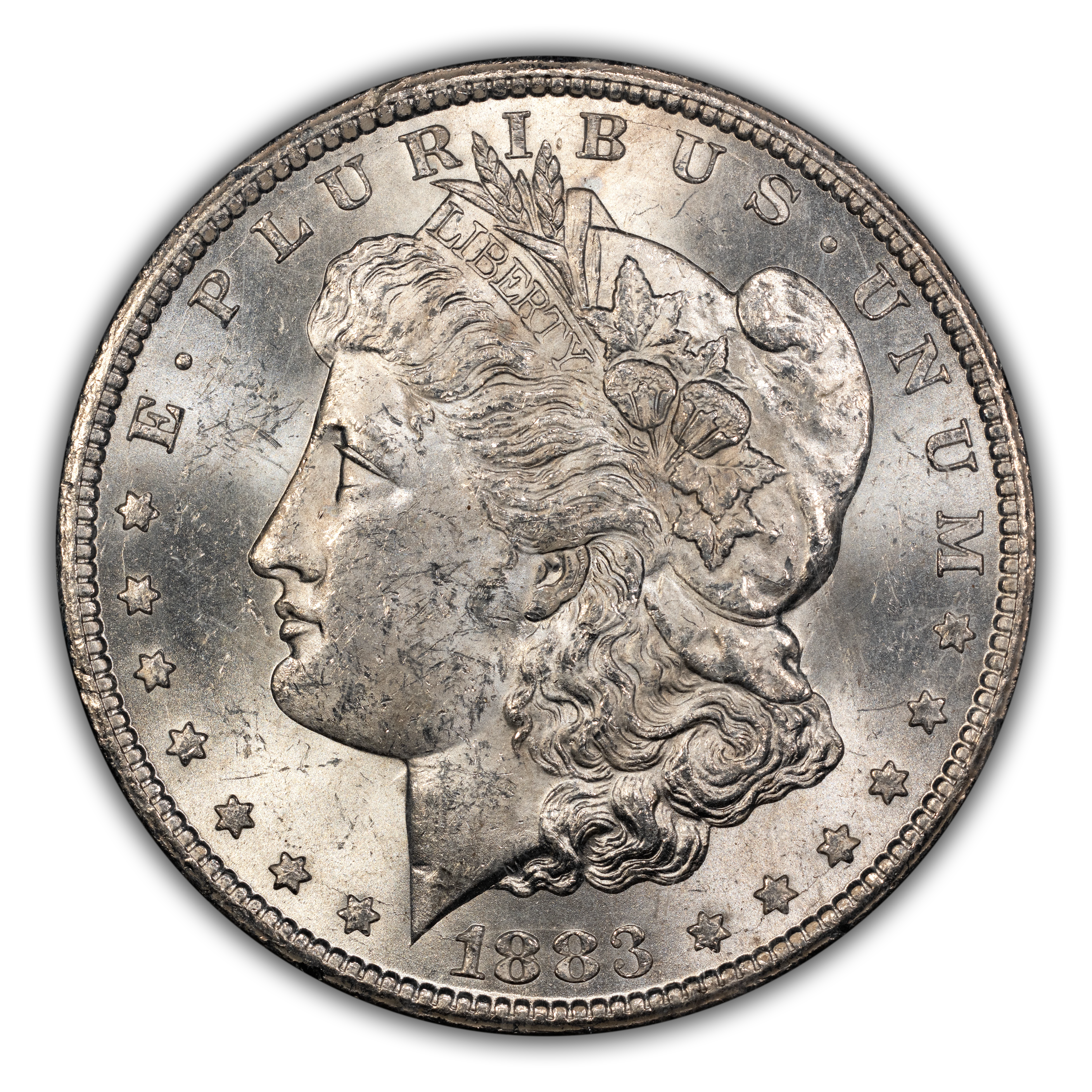 1883-CC $1  GSA Hoard, CC/CC, Polished, VAM-5B MS thumbnail 3
