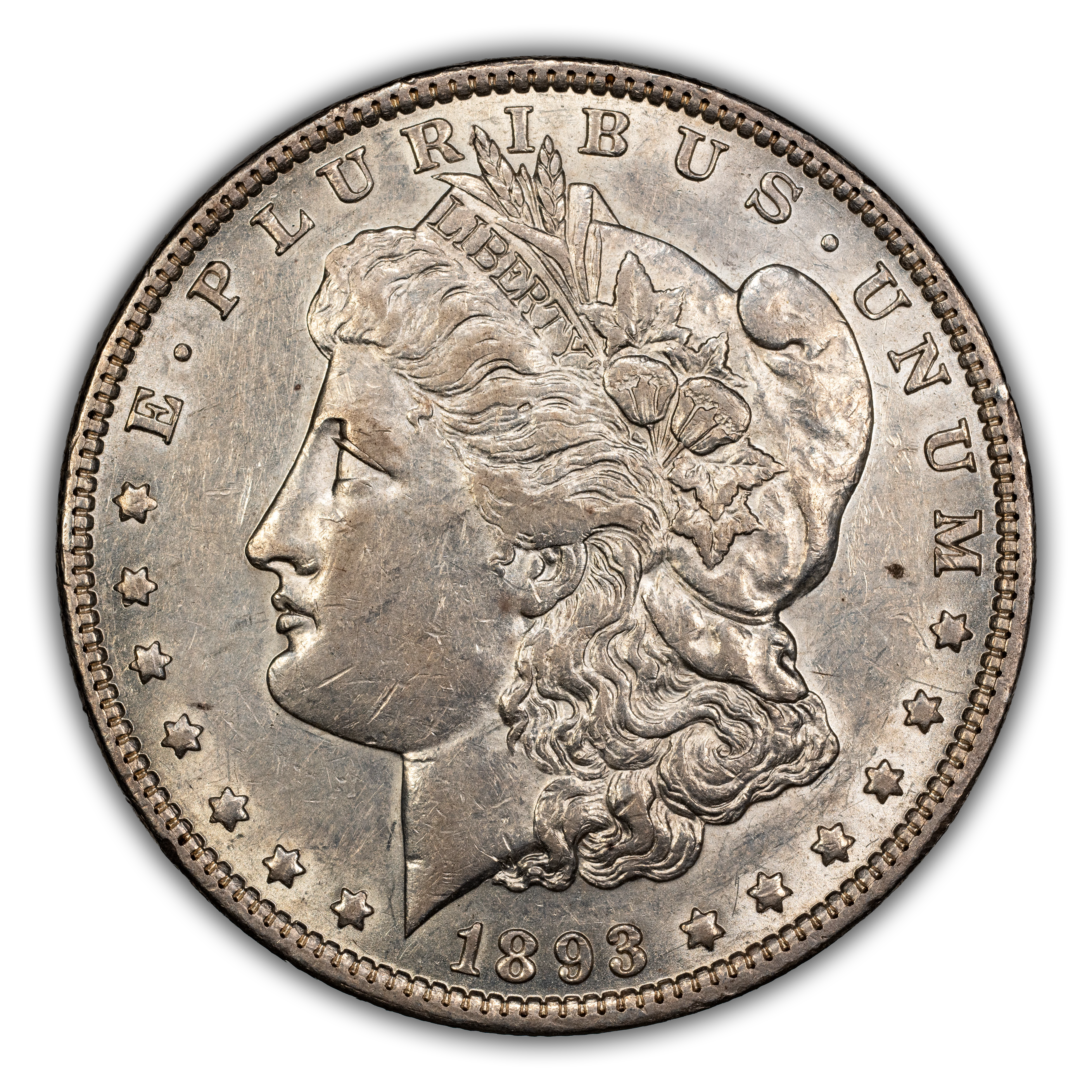 1893 $1  Doubled Stars, VAM-4  MS thumbnail 3