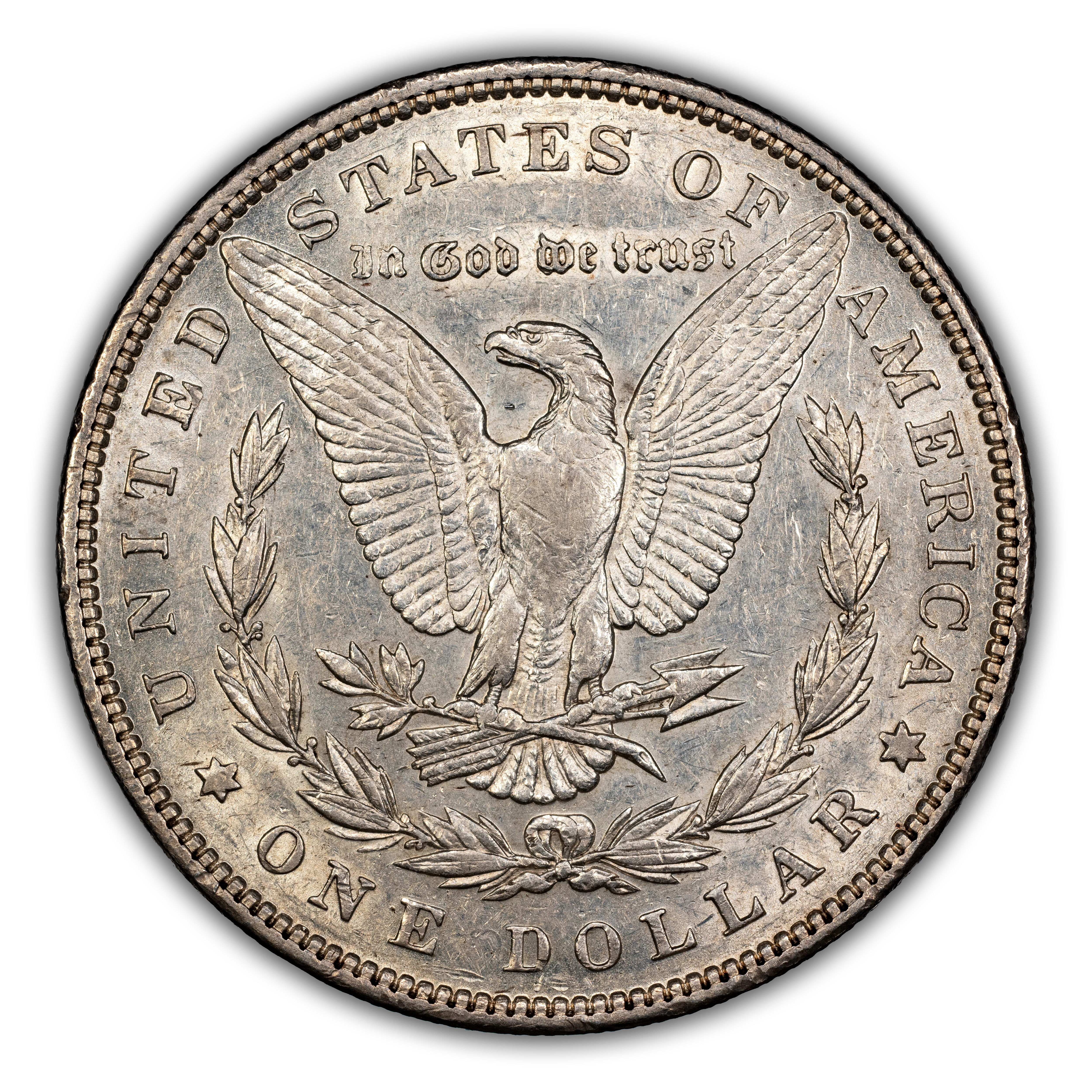 1893 $1  Doubled Stars, VAM-4  MS thumbnail 19