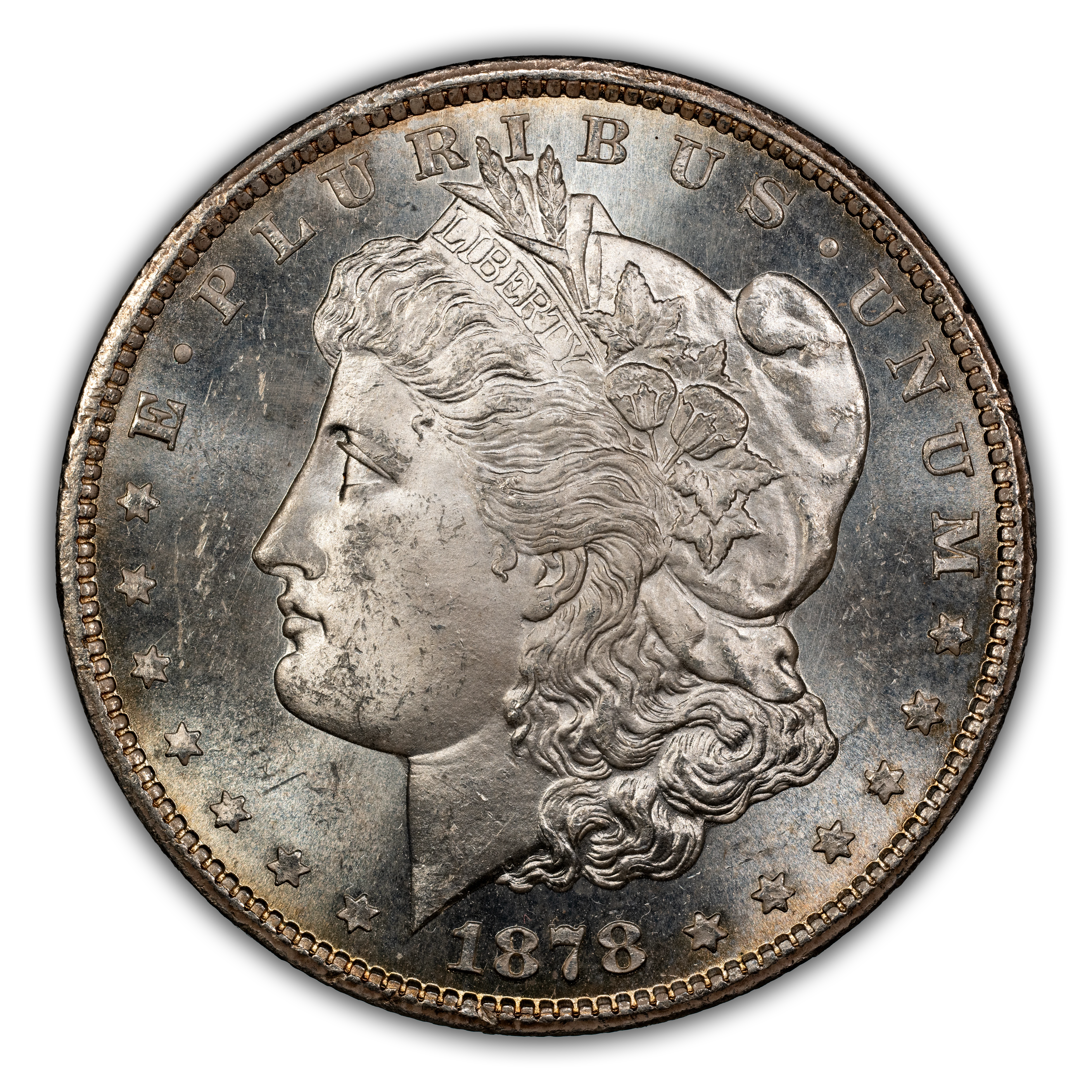1878-CC $1  Die Gouges Wing, VAM-13 MS thumbnail 2