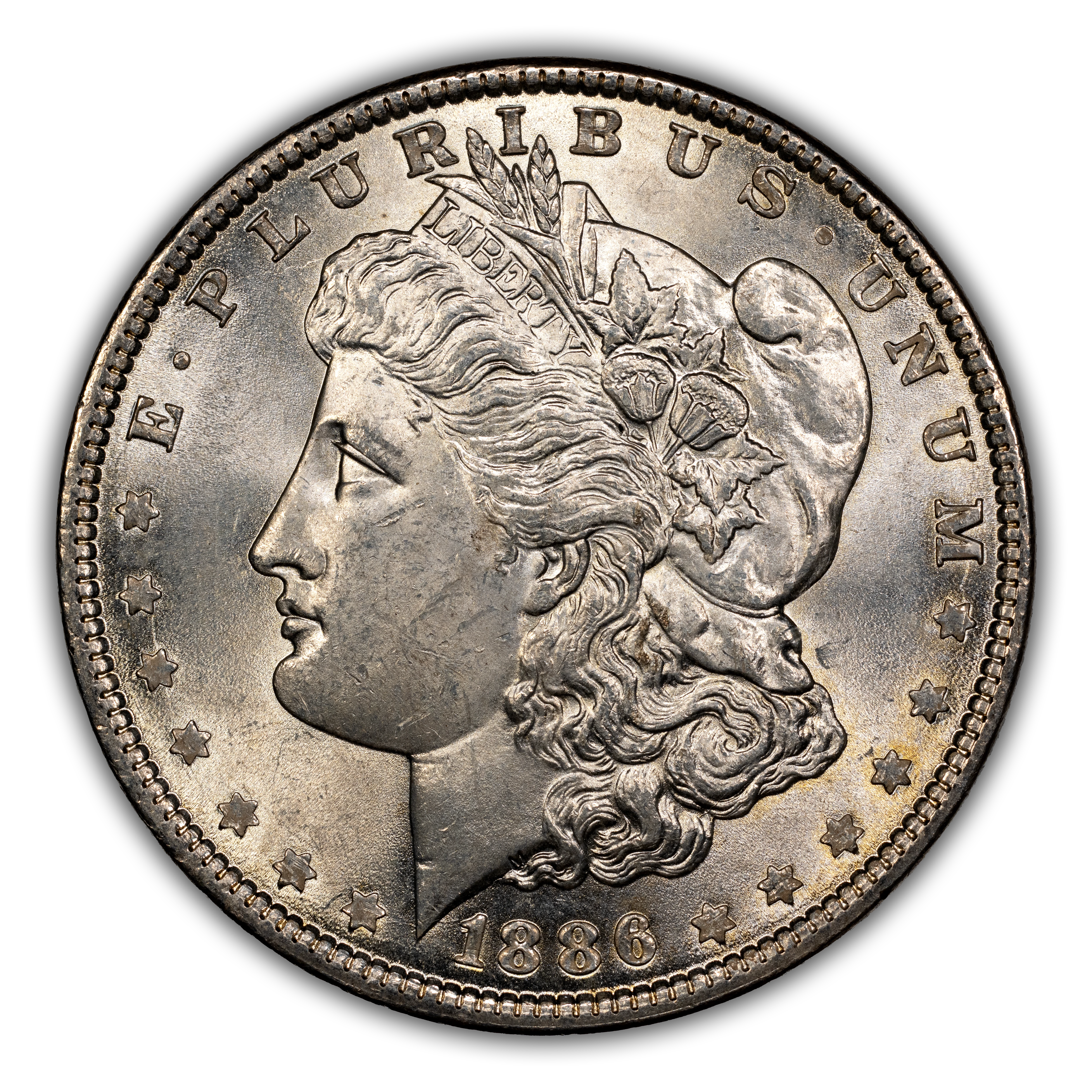 1886 $1  MS thumbnail 10