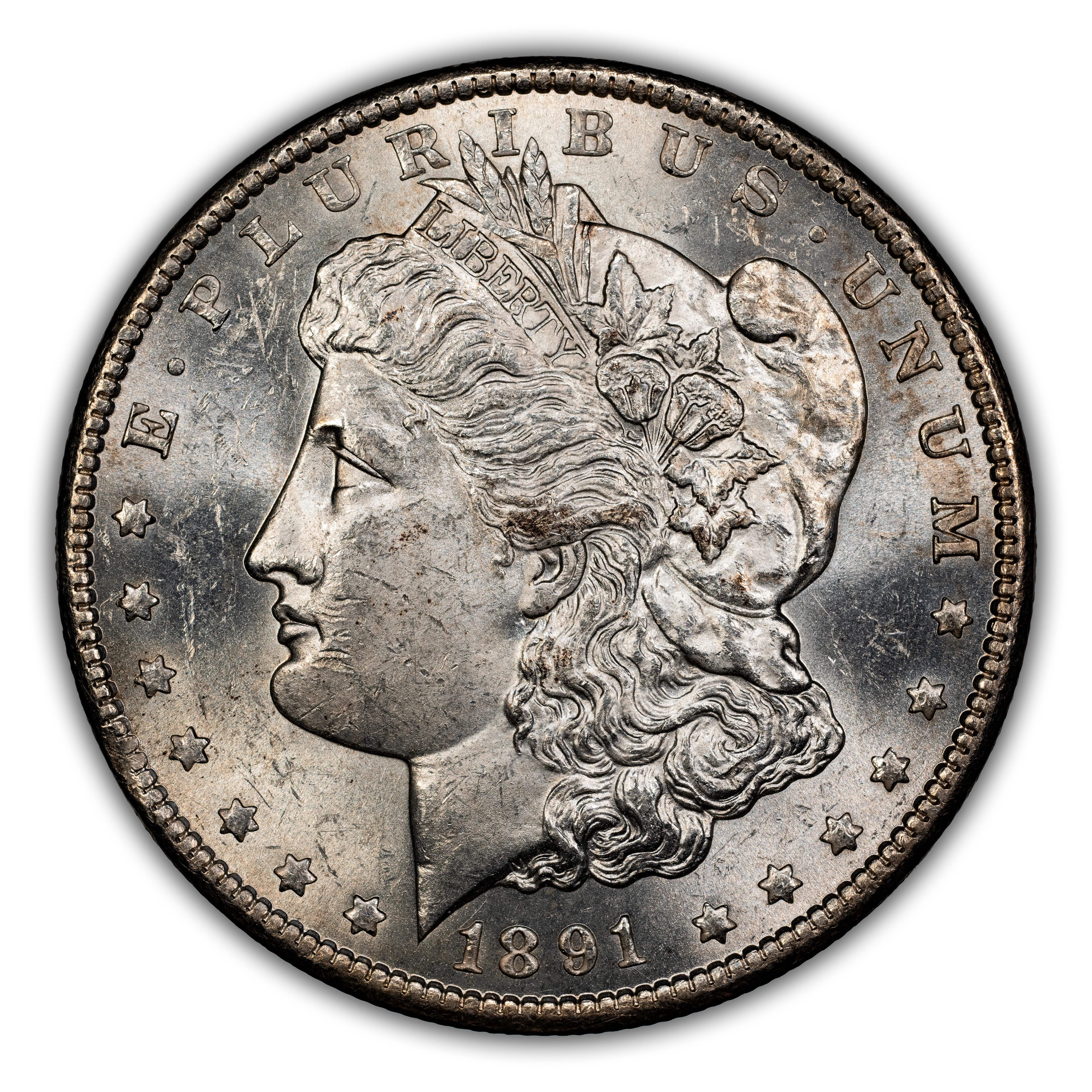 1891-CC $1  Spitting Eagle, VAM-3  MS thumbnail 8