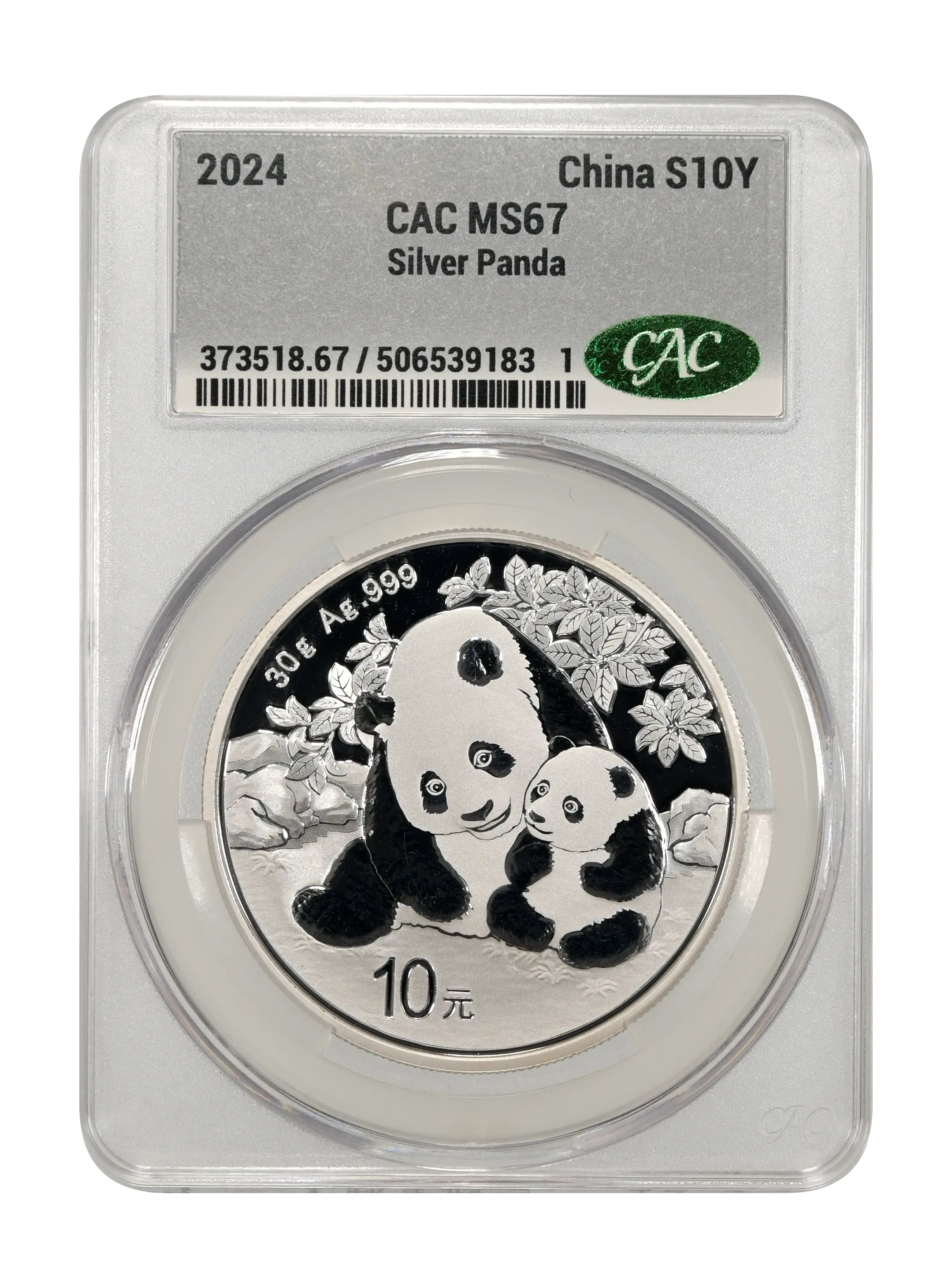2024 S10Y 1oz Silver, Panda MS thumbnail 2