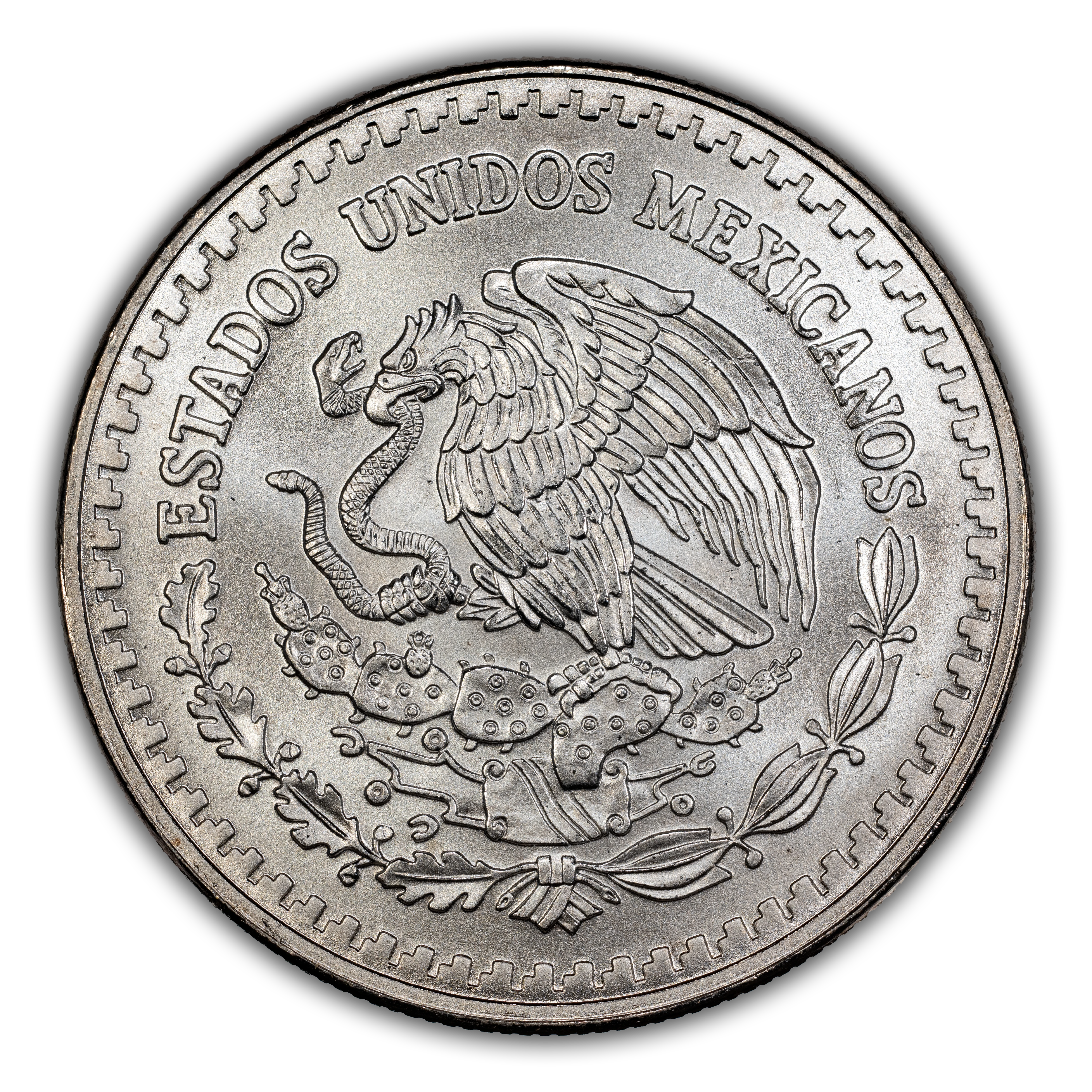 1993-Mo 1 Onza Libertad, Silver MS (KM-494.3) thumbnail 7