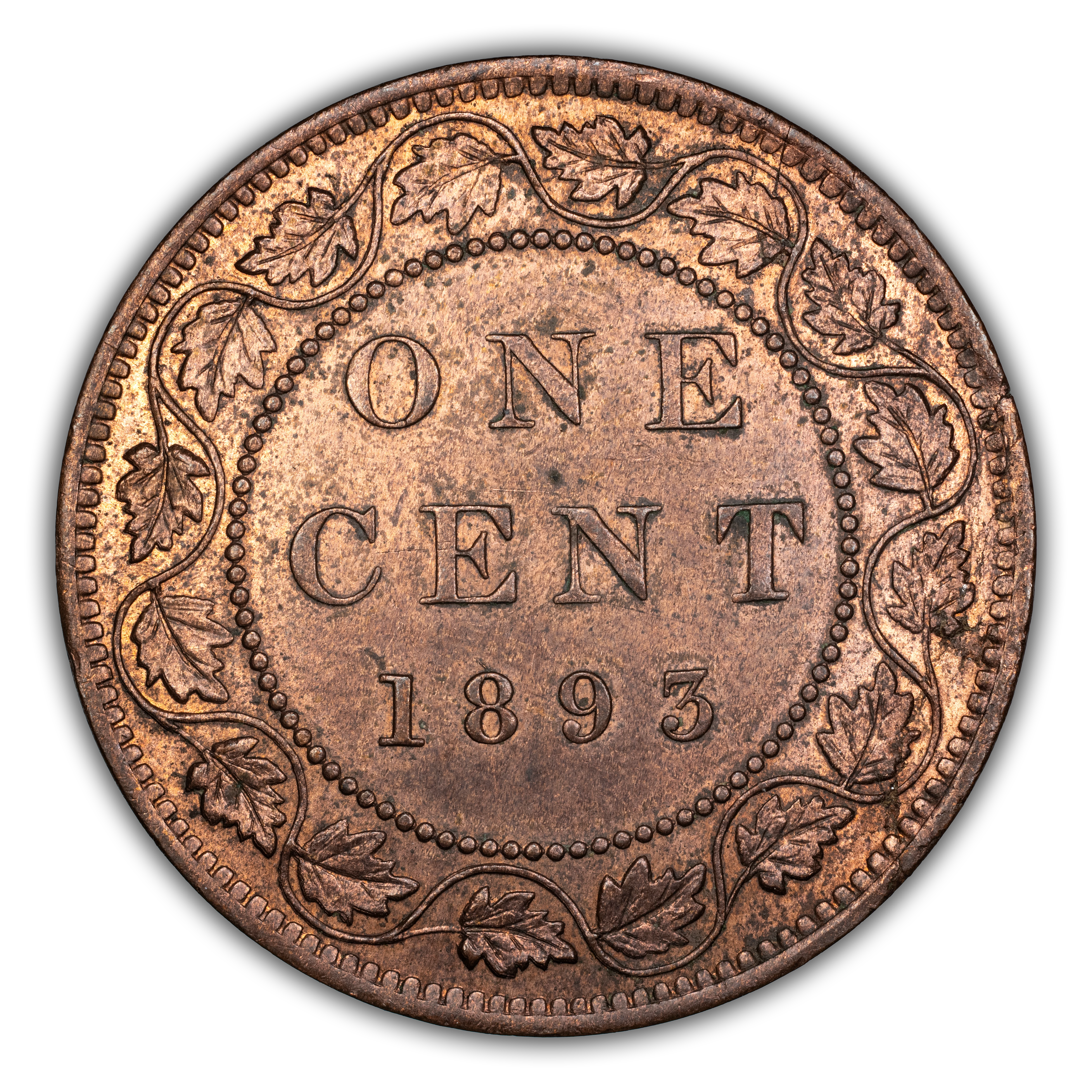 1893 1c MS RB thumbnail 4