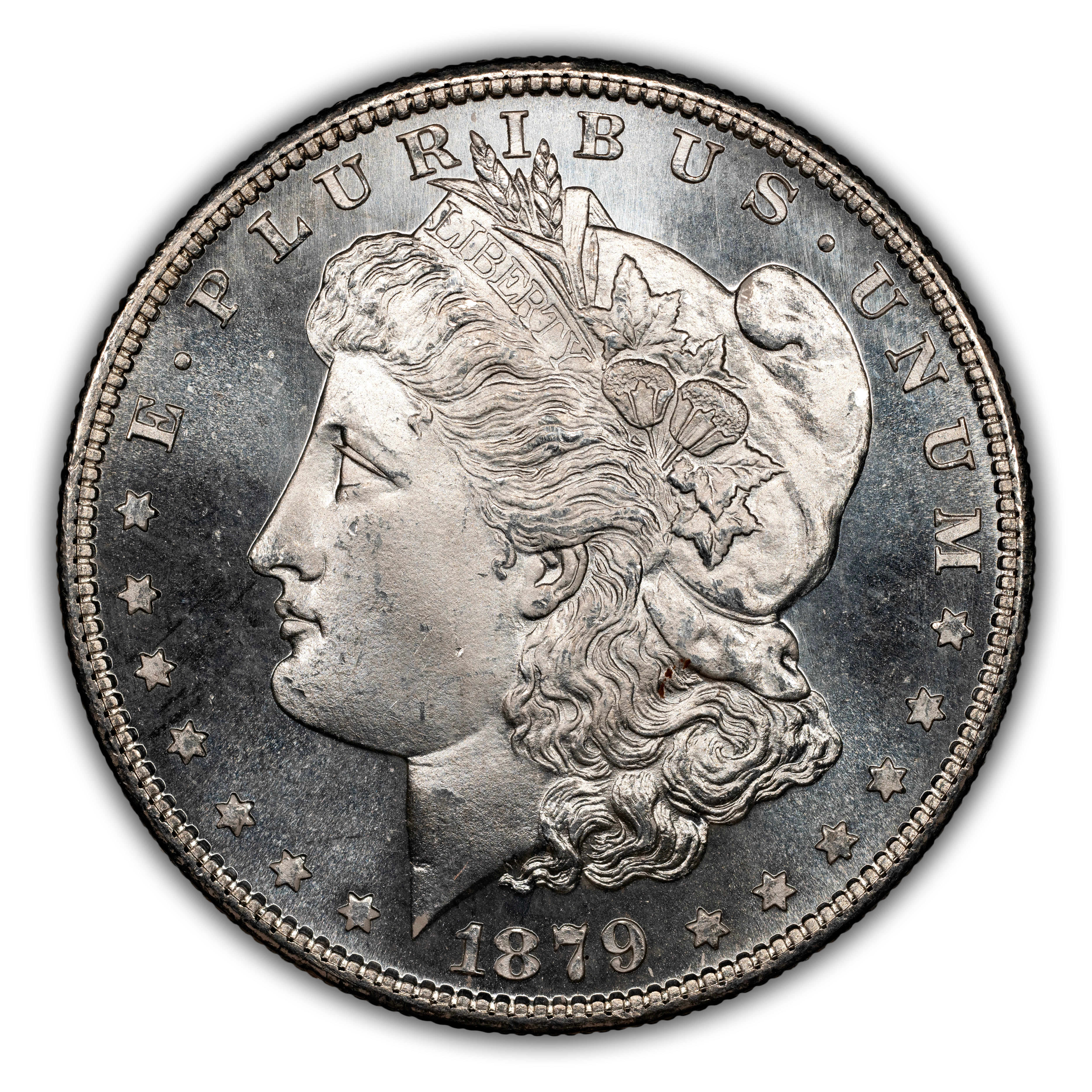 1879-S $1  Hair Ribbon Gouged, VAM-107A MS thumbnail 19