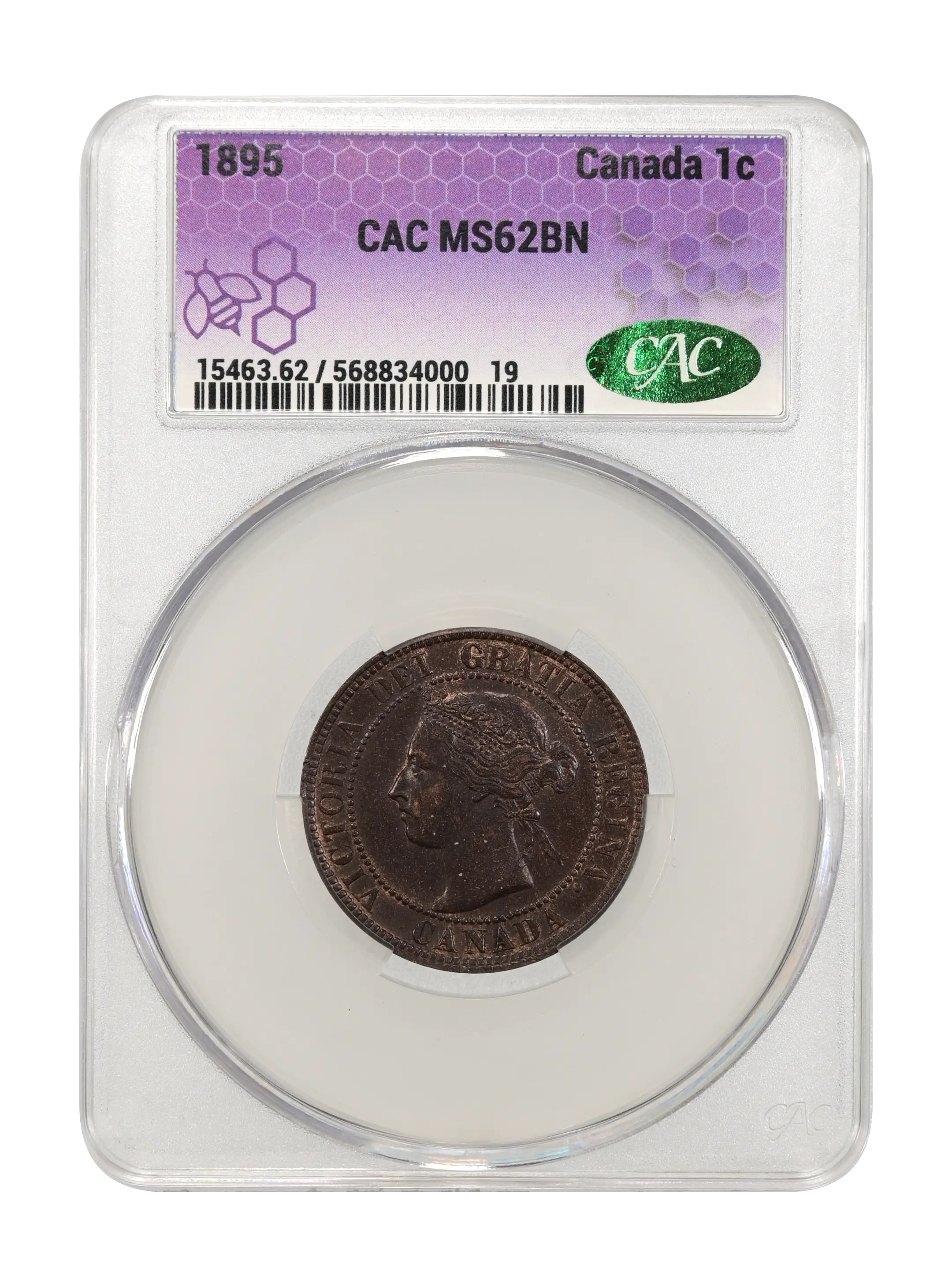 1895 1c MS BN thumbnail 4