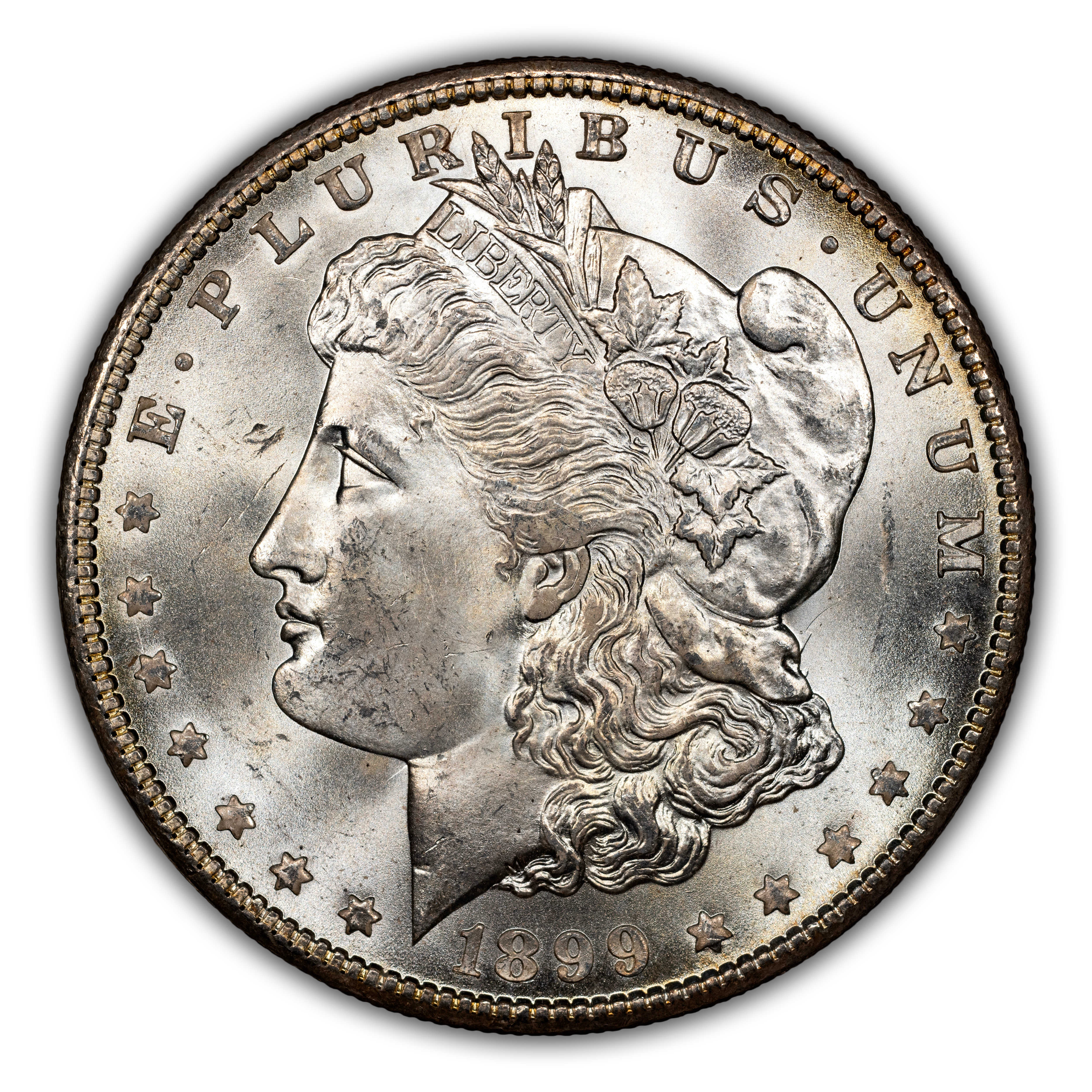 1899-O $1  Doubled 1, Die Breaks Reverse, VAM-11A MS thumbnail 14