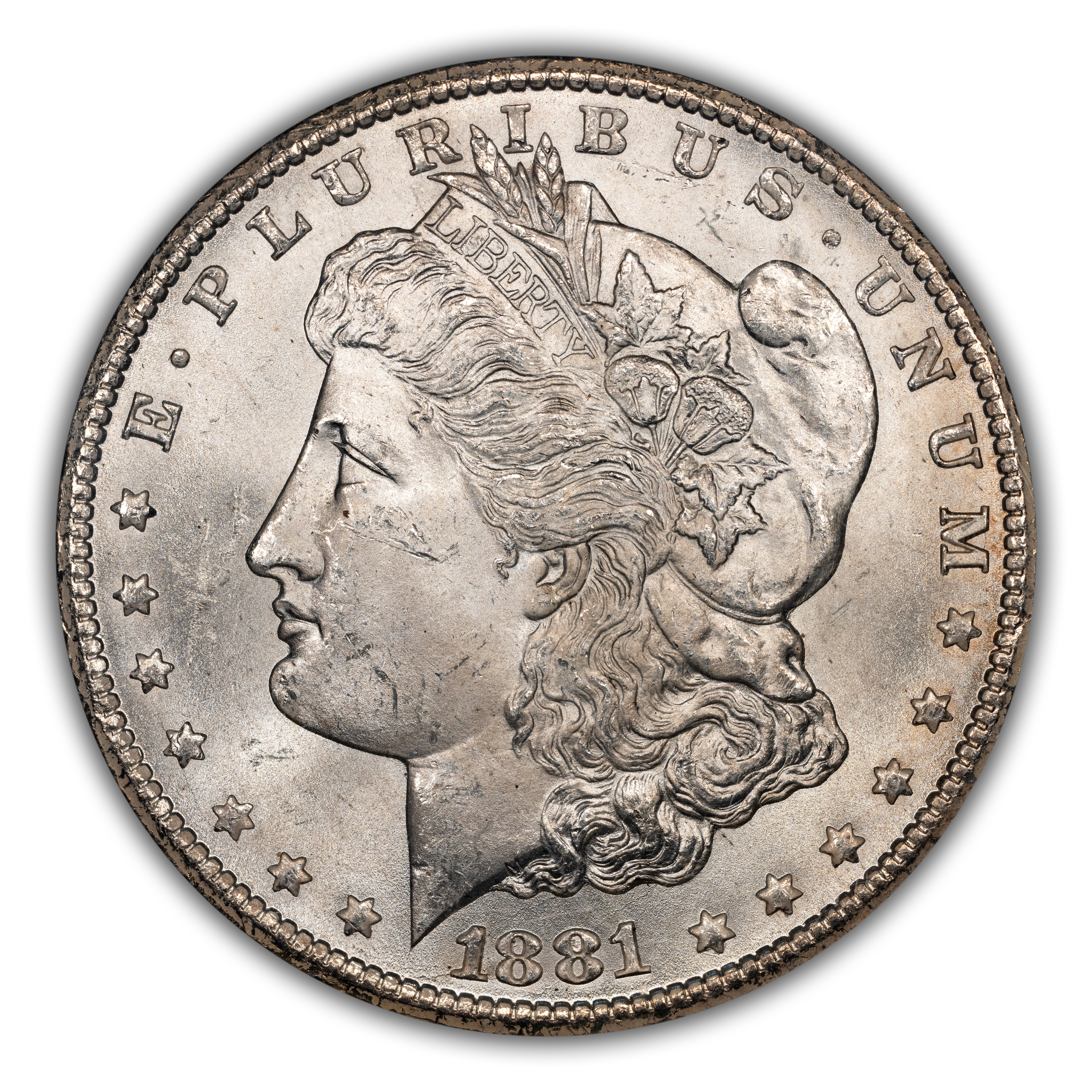 1881-CC $1  GSA Hoard, CC Tilted Left, VAM-6 MS thumbnail 17