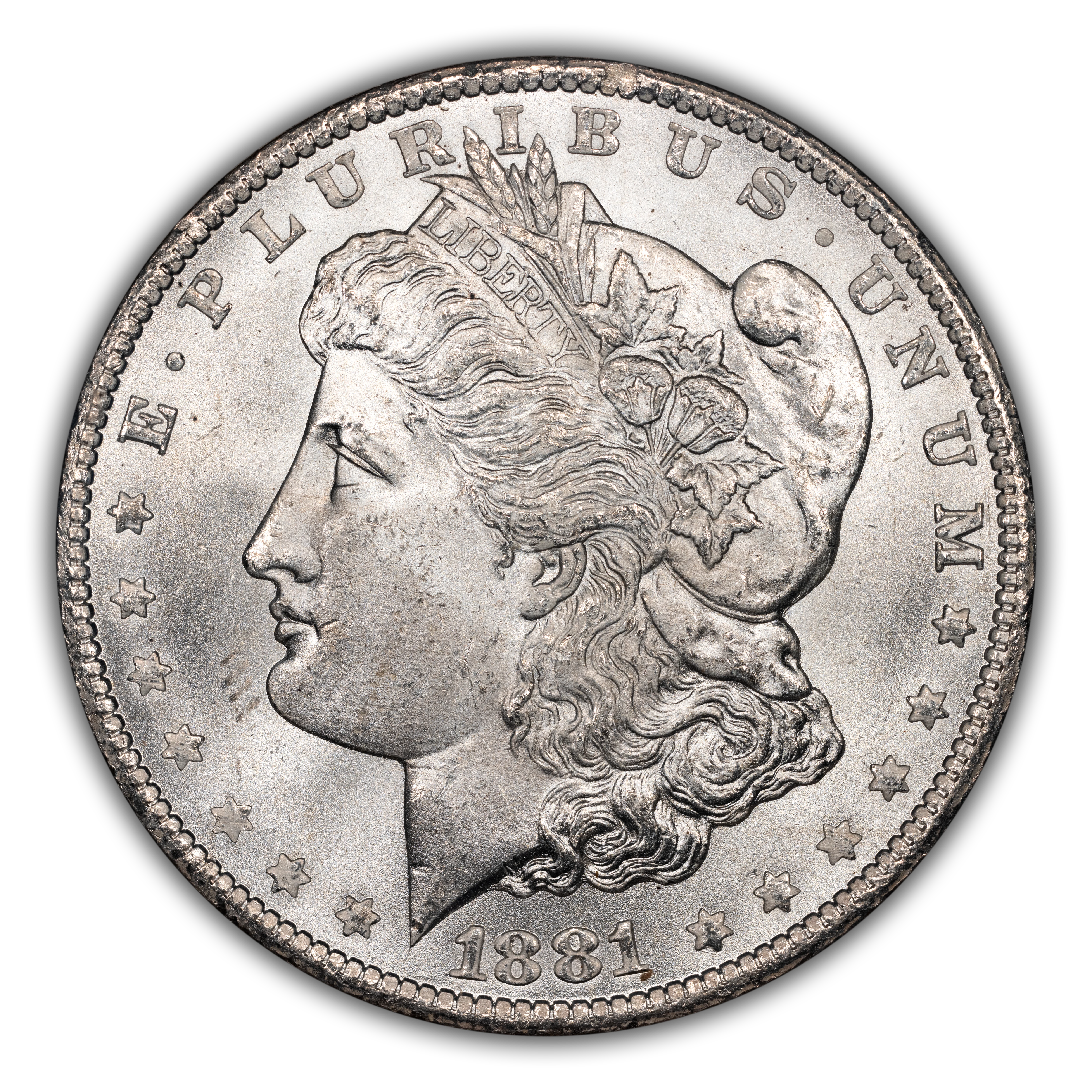 1881-CC $1  GSA Hoard, CC Tilted Left, VAM-6 MS thumbnail 18