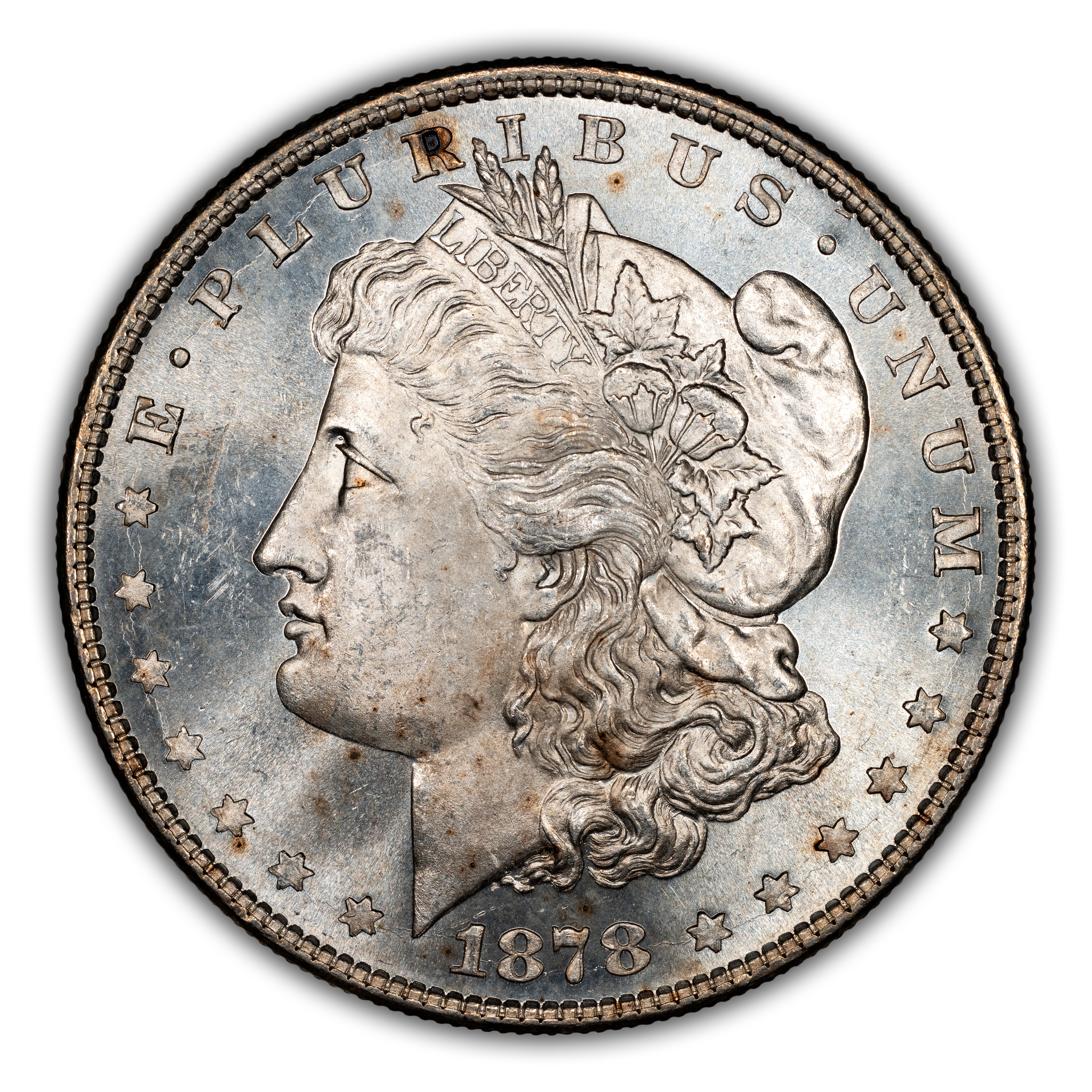 1878 8TF $1  Denticle Chip, VAM-4 MS thumbnail 2