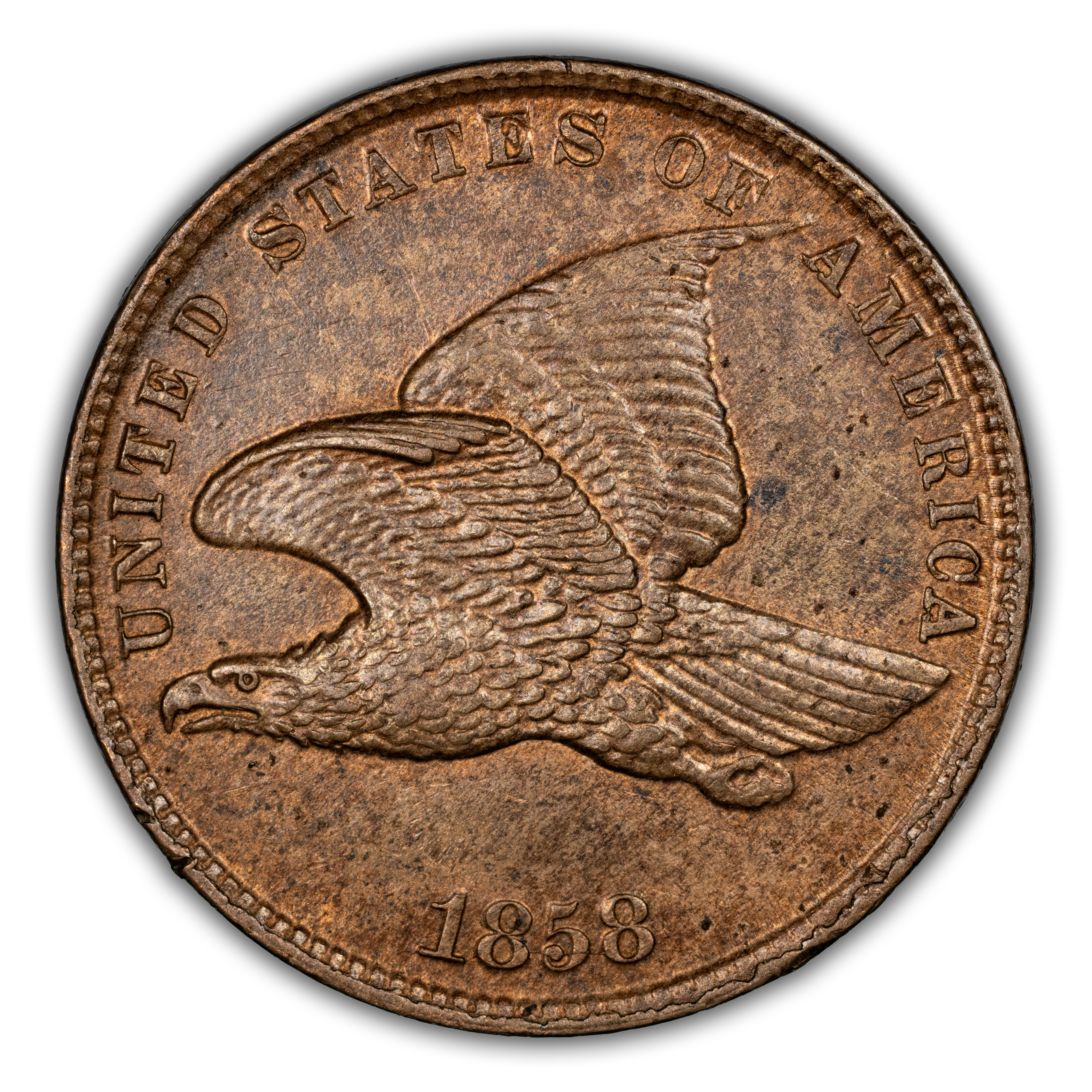 Flying Eagle Cent Set 1c 4 Coins MS thumbnail 11