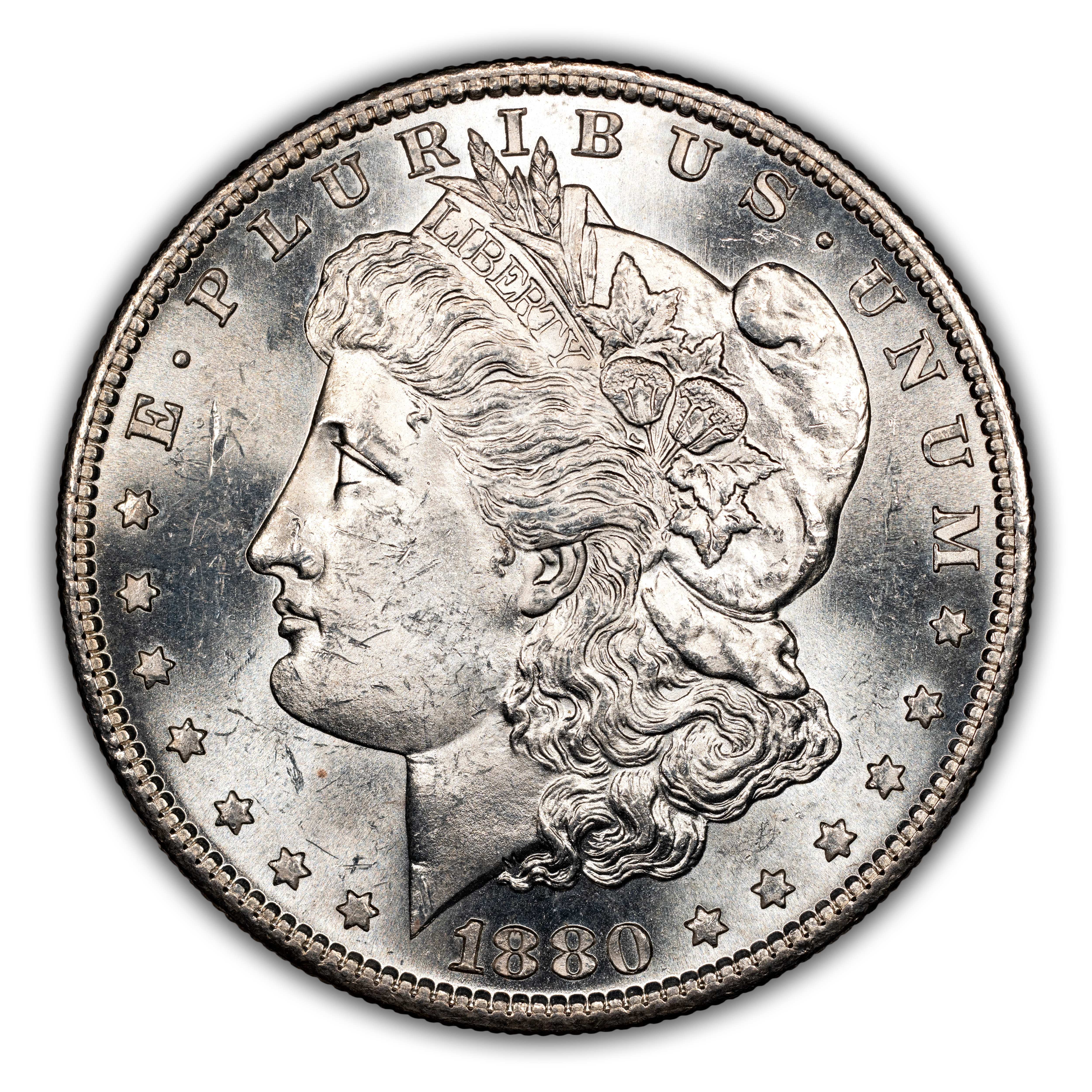 1880-S $1  Doubled Date, VAM-63  MS thumbnail 9