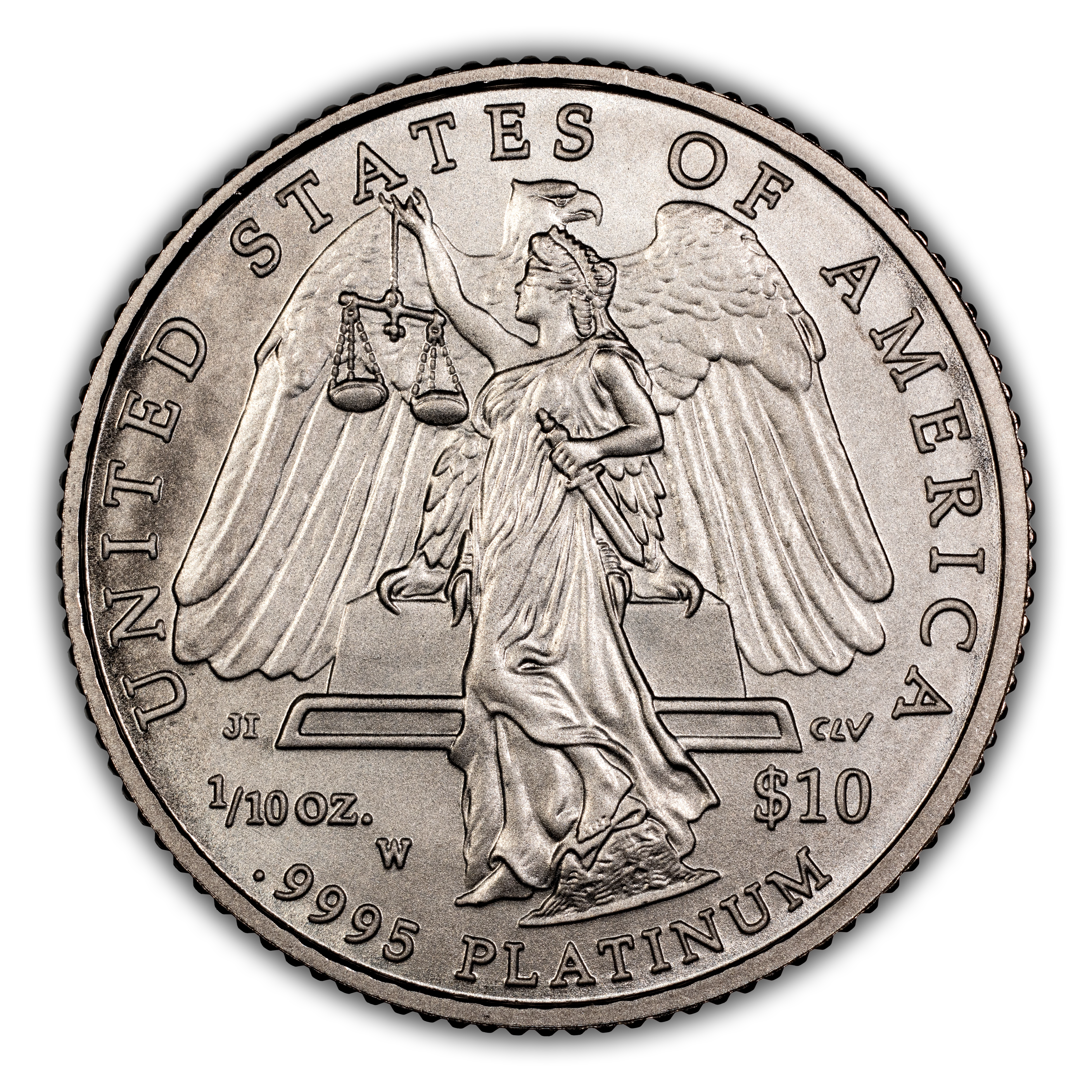 2008-W $10  Platinum Eagle, Burnished MS thumbnail 8