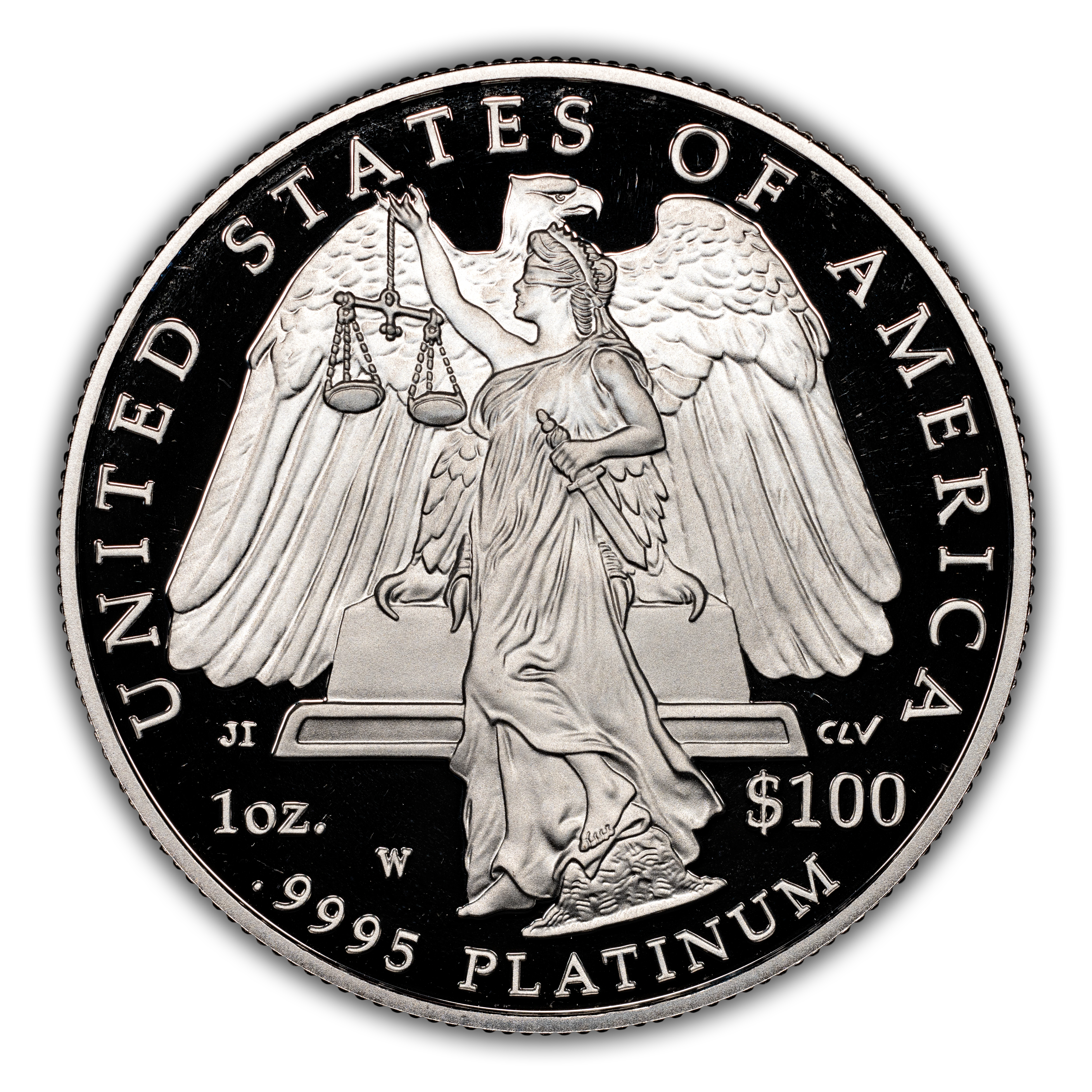 2008-W P$100  Platinum Eagle PR DCAM thumbnail 6