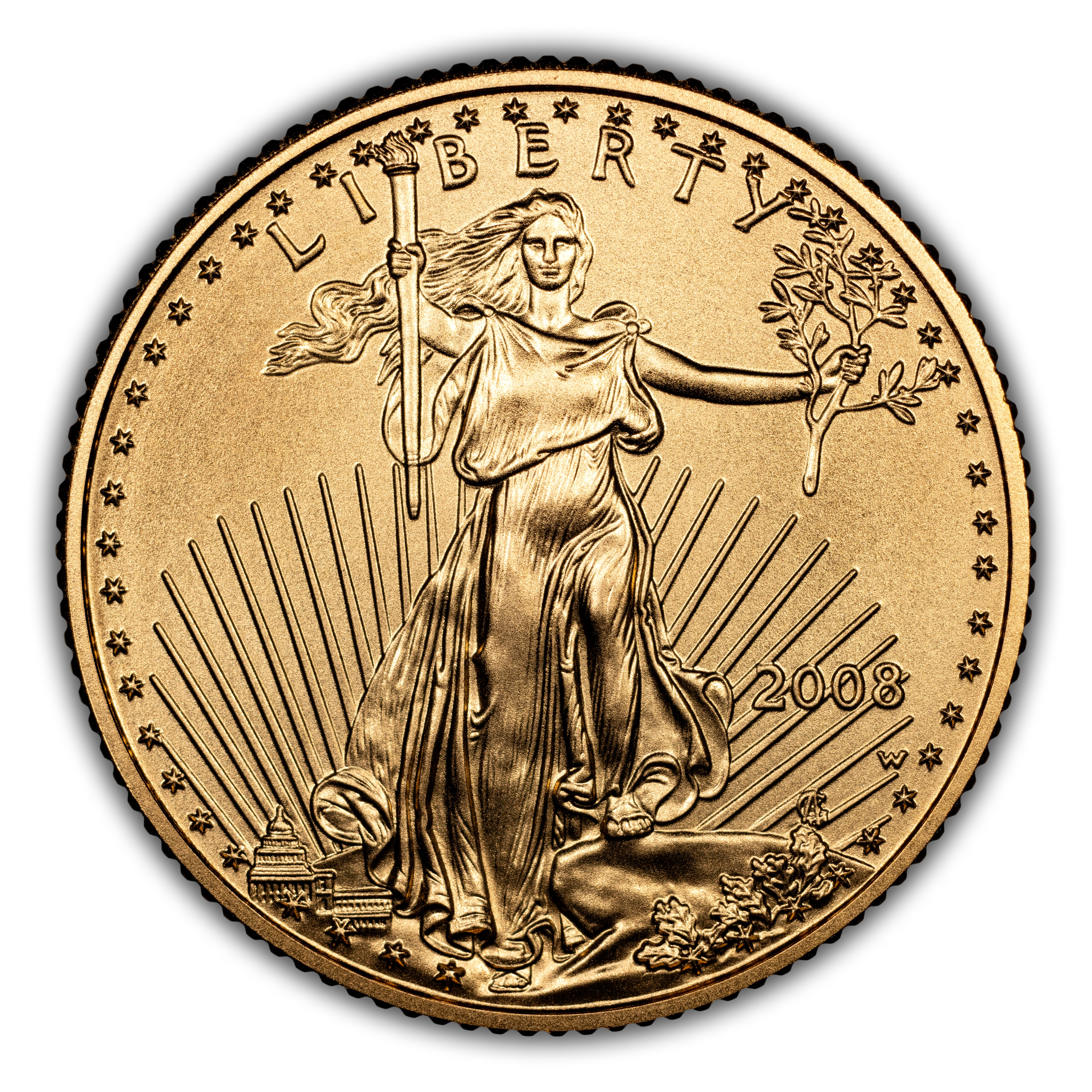 2008-W $5  Gold Eagle, Burnished MS thumbnail 3