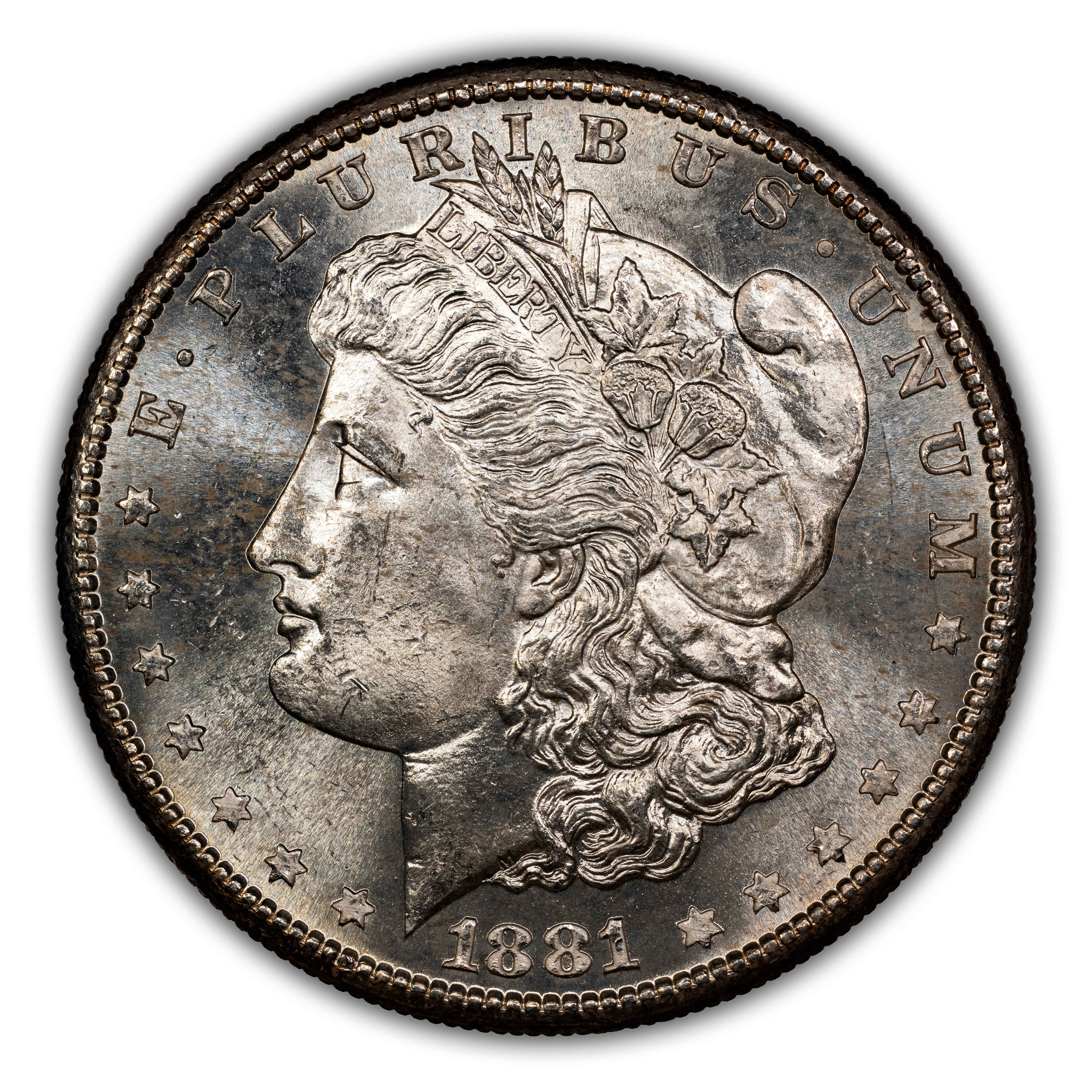 1881-S $1  Die Chip Wing, VAM-92A MS thumbnail 14