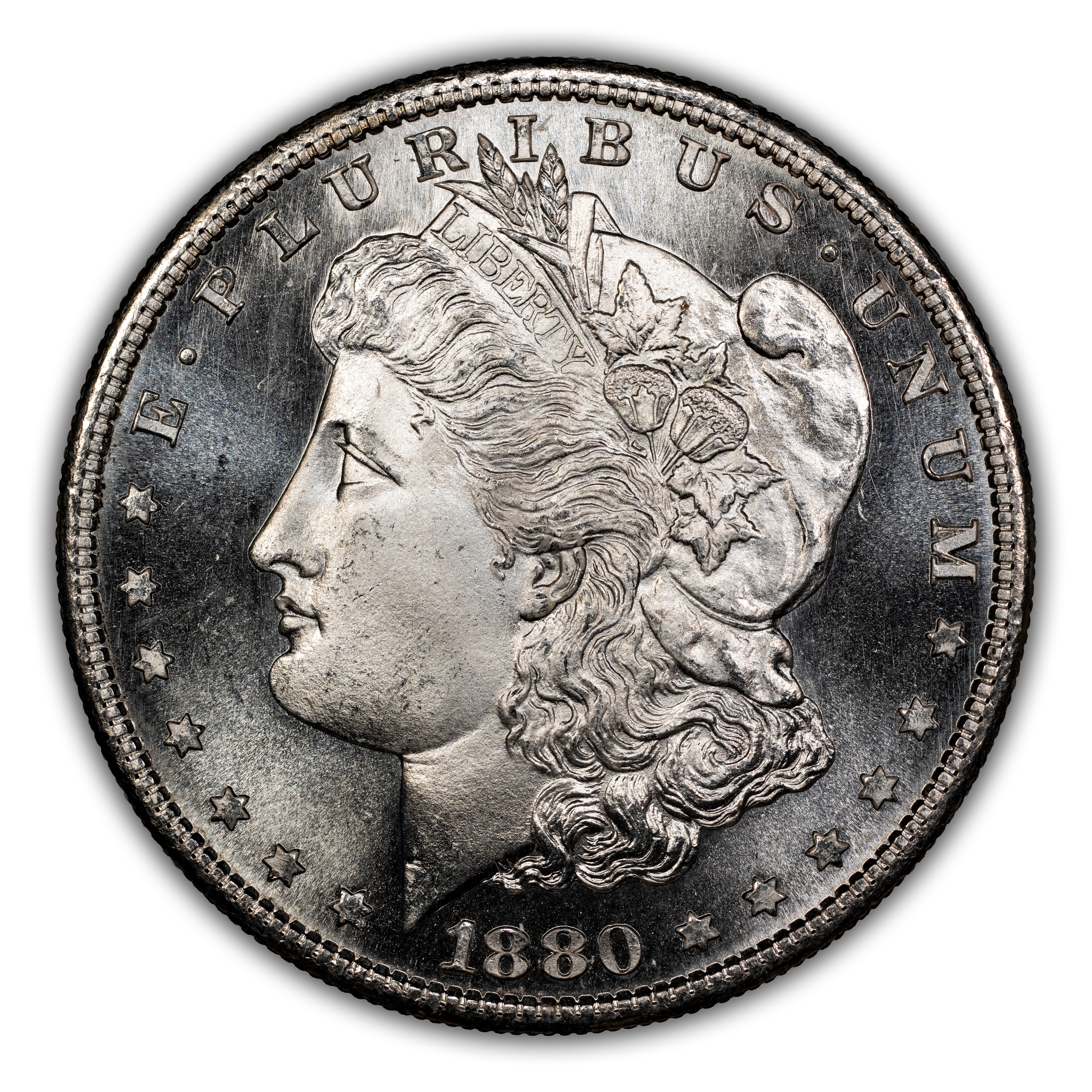 1880-S $1  Doubled Date, VAM-63  MS thumbnail 15