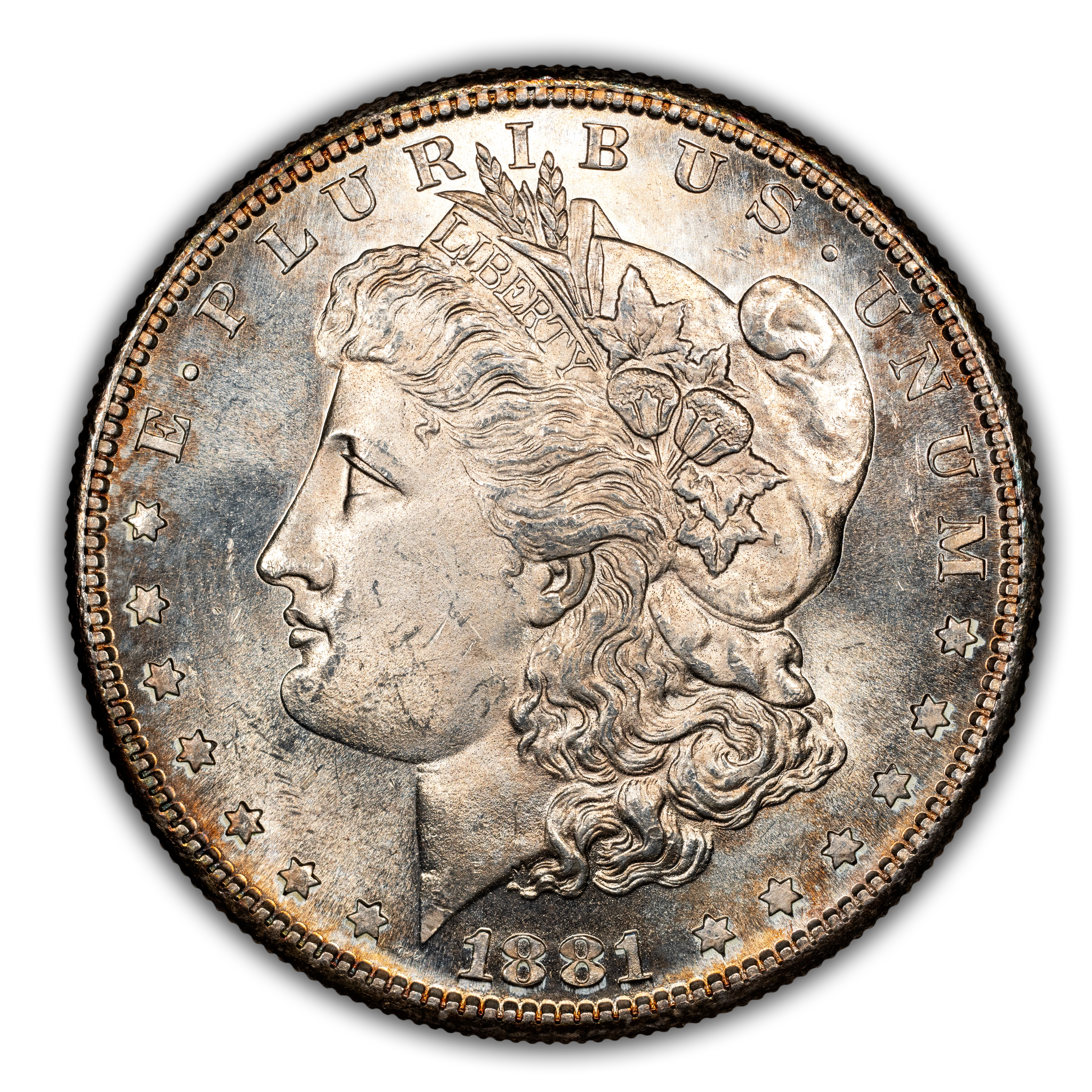 1881-S $1  Die Chip Wing, VAM-92A MS thumbnail 17