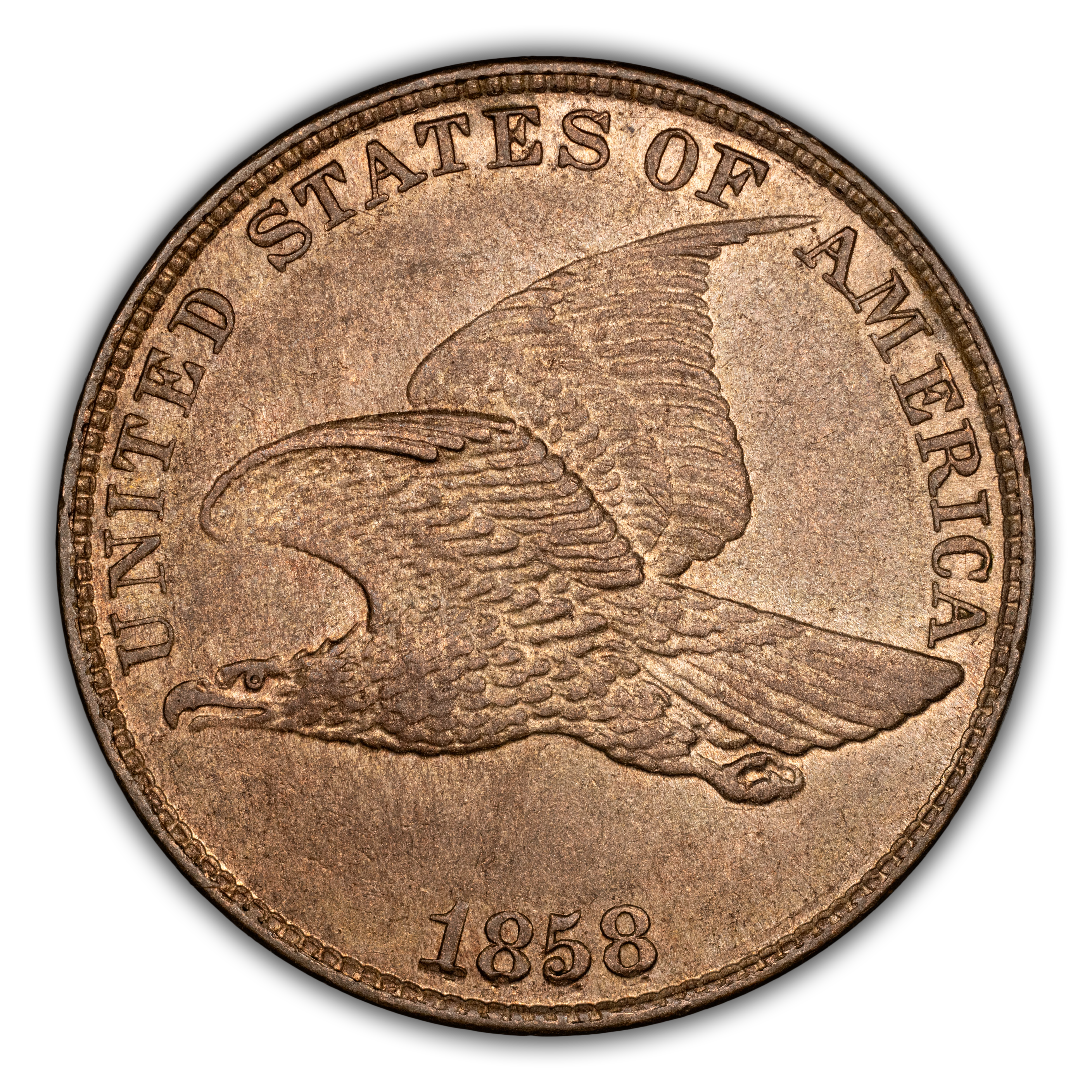Flying Eagle Cent Set 1c 4 Coins MS thumbnail 10