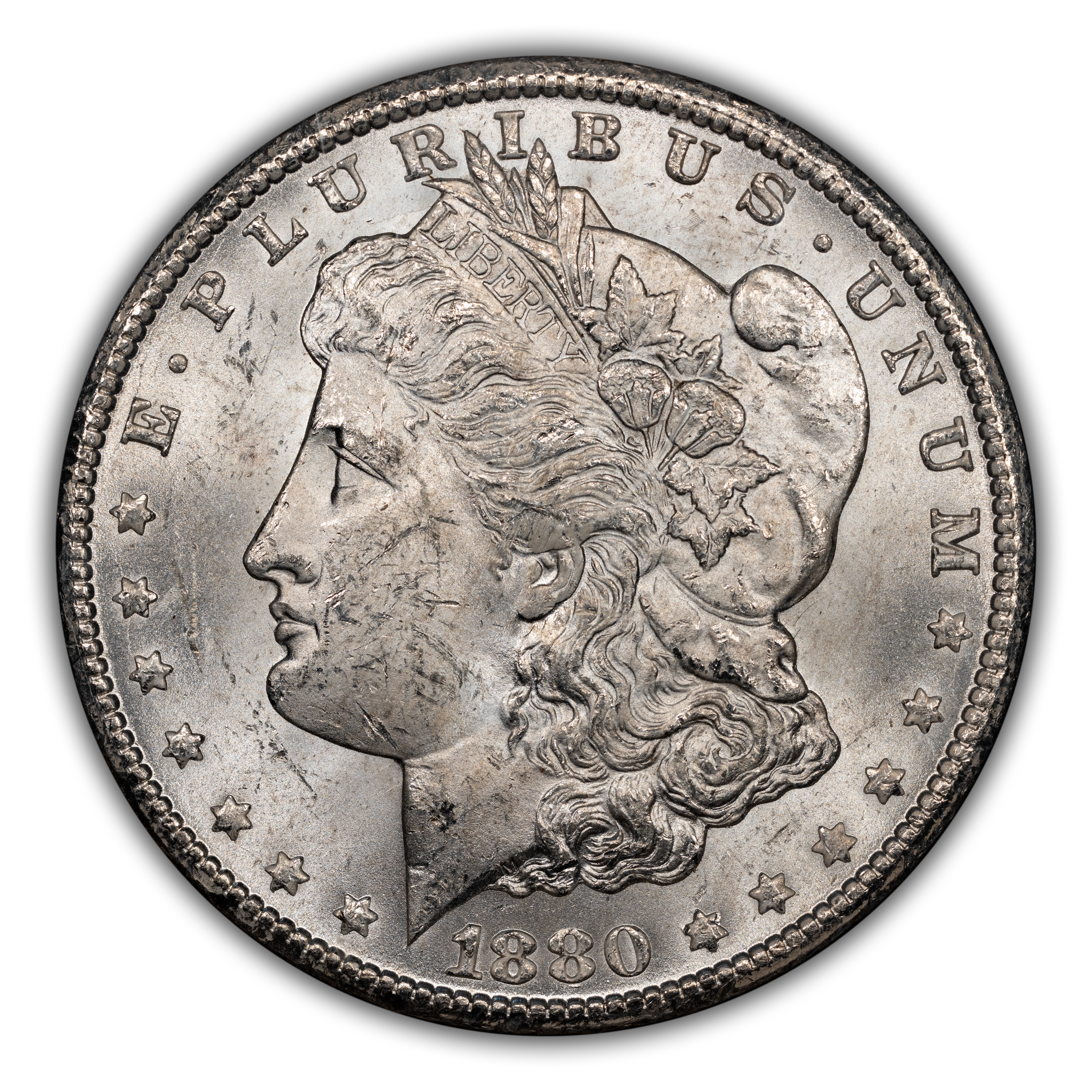 1880-CC $1  GSA Hoard, 8/7, VAM-8 MS thumbnail 2