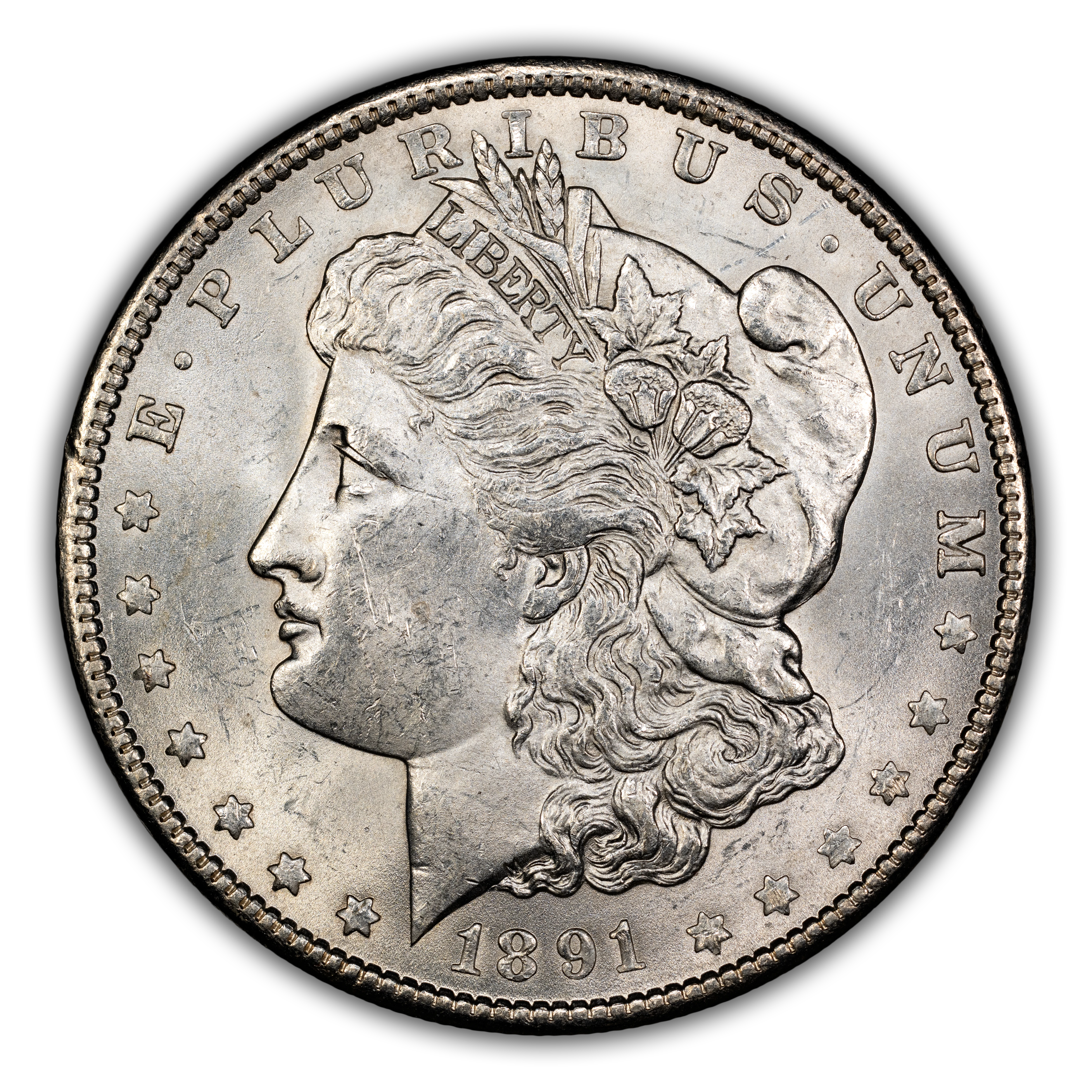 1891 $1  Doubled Ear, VAM-2  MS thumbnail 3