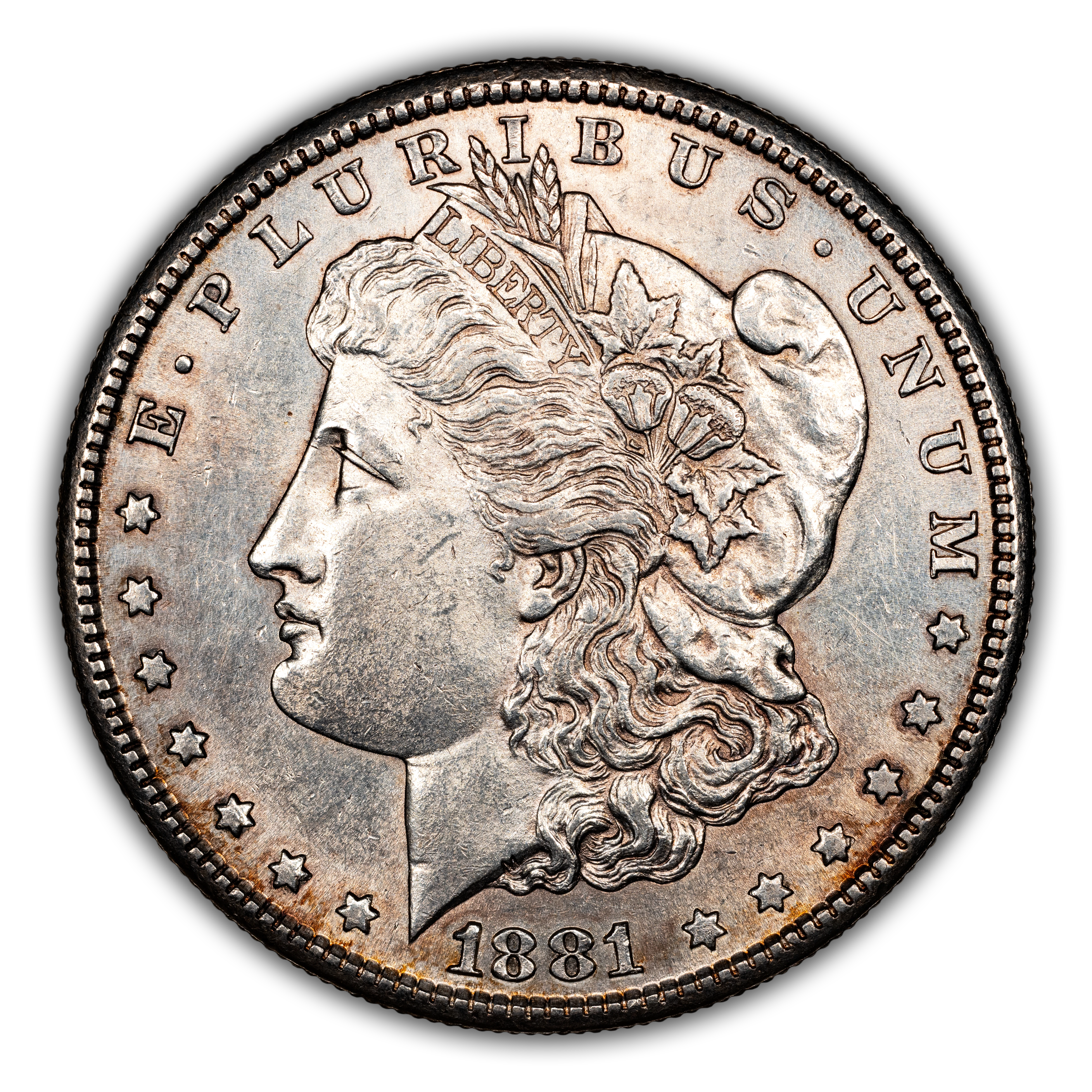 1881-S $1  Die Chip Wing, VAM-92A MS thumbnail 18