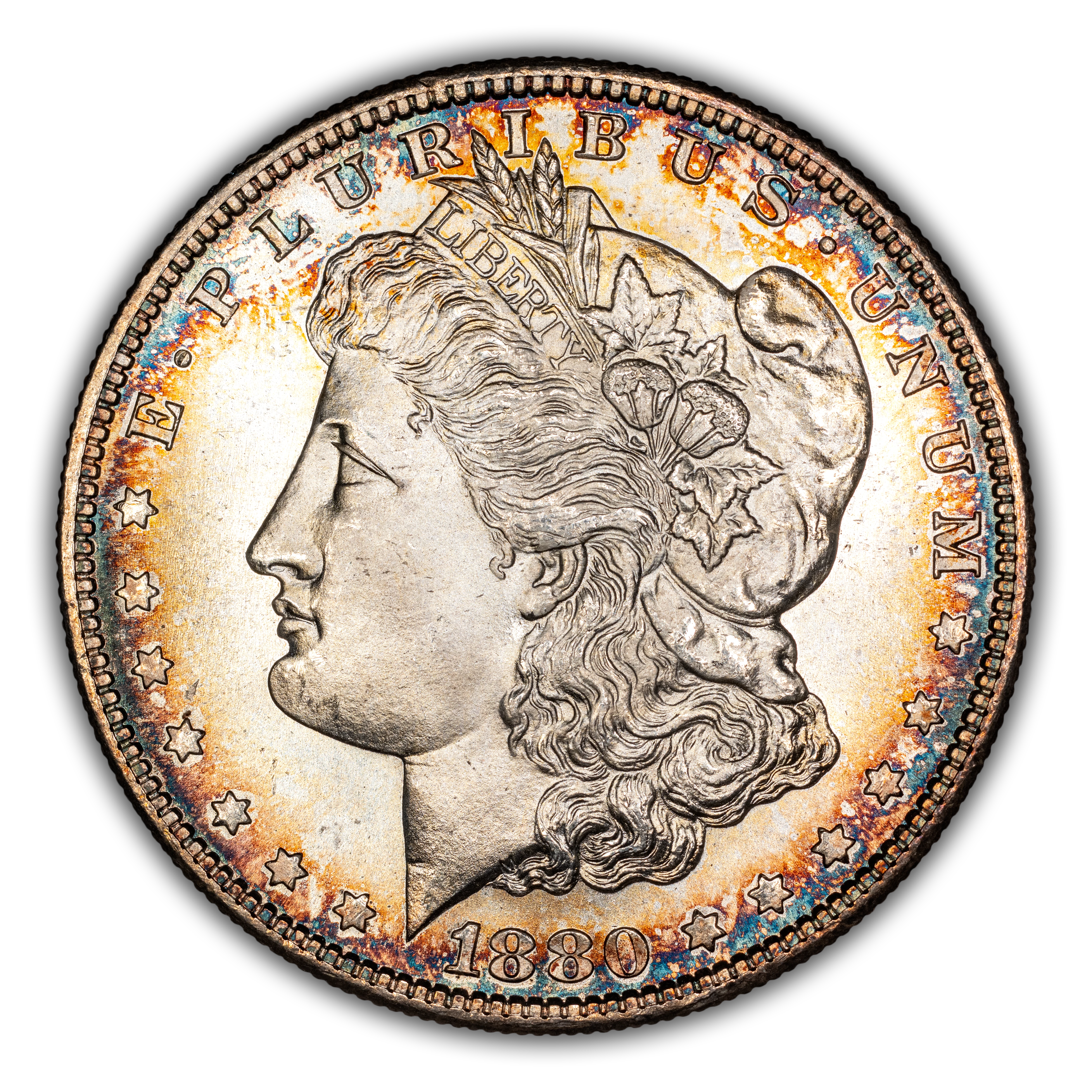 1880-S $1  Doubled Date, VAM-63  MS thumbnail 12