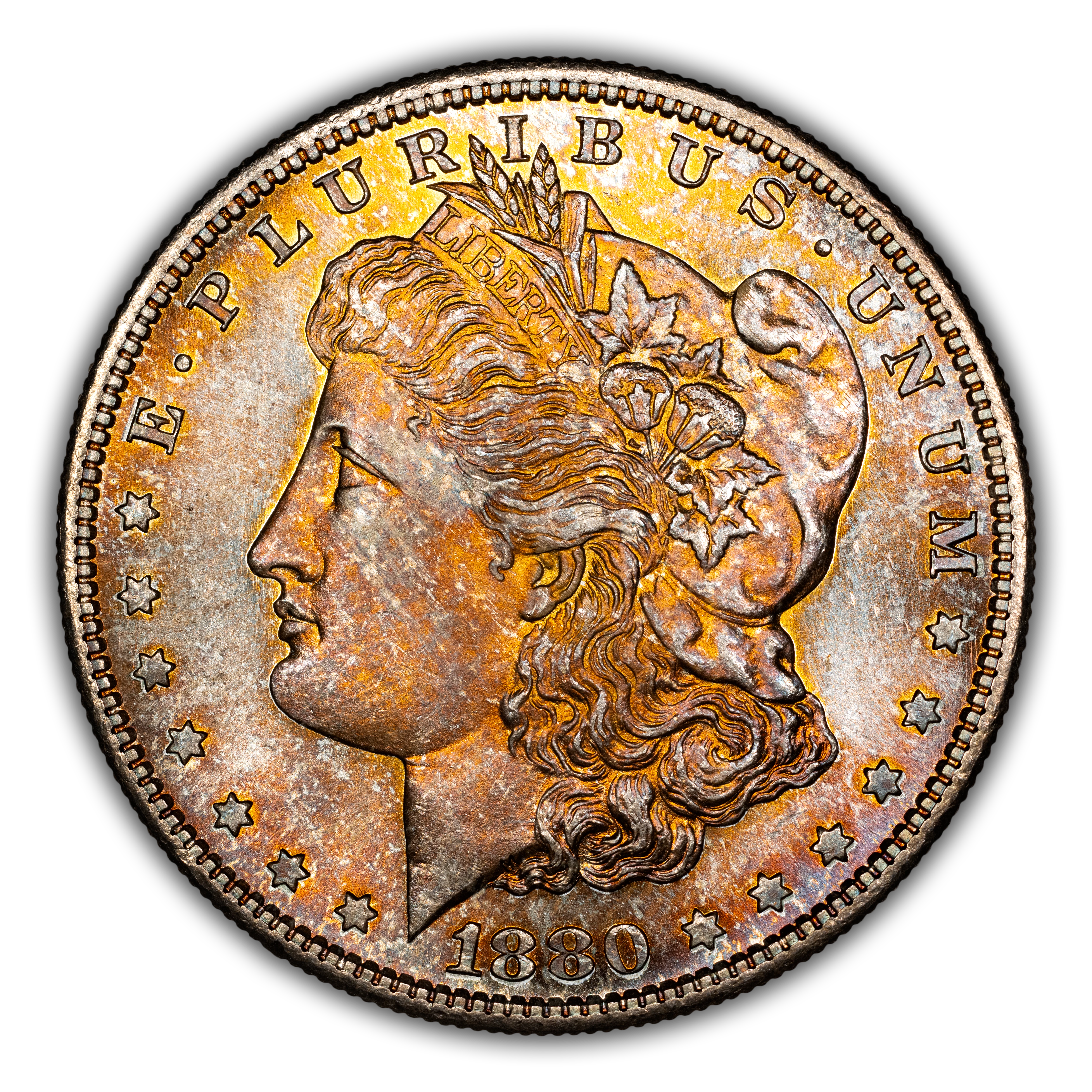 1880-S $1  Doubled Date, VAM-63  MS thumbnail 13