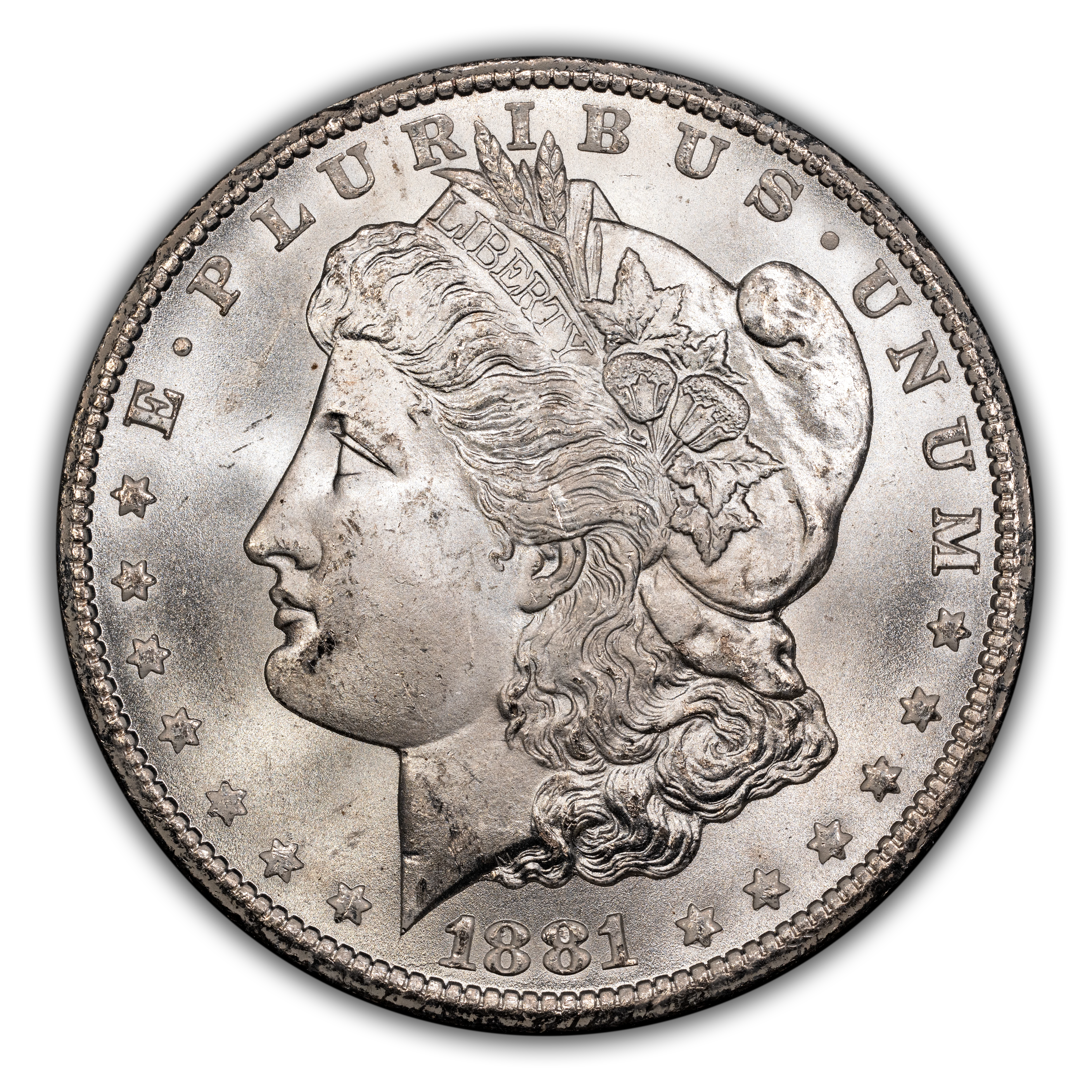 1881-CC $1  GSA Hoard, CC Tilted Left, VAM-6 MS thumbnail 4