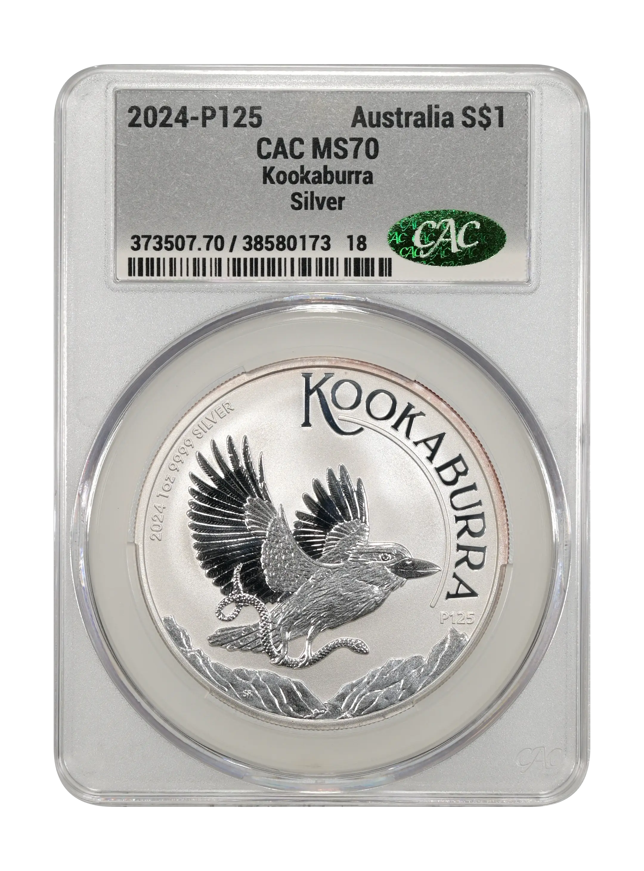 2024-P125 S$1 1oz Silver, Kookaburra MS thumbnail 4