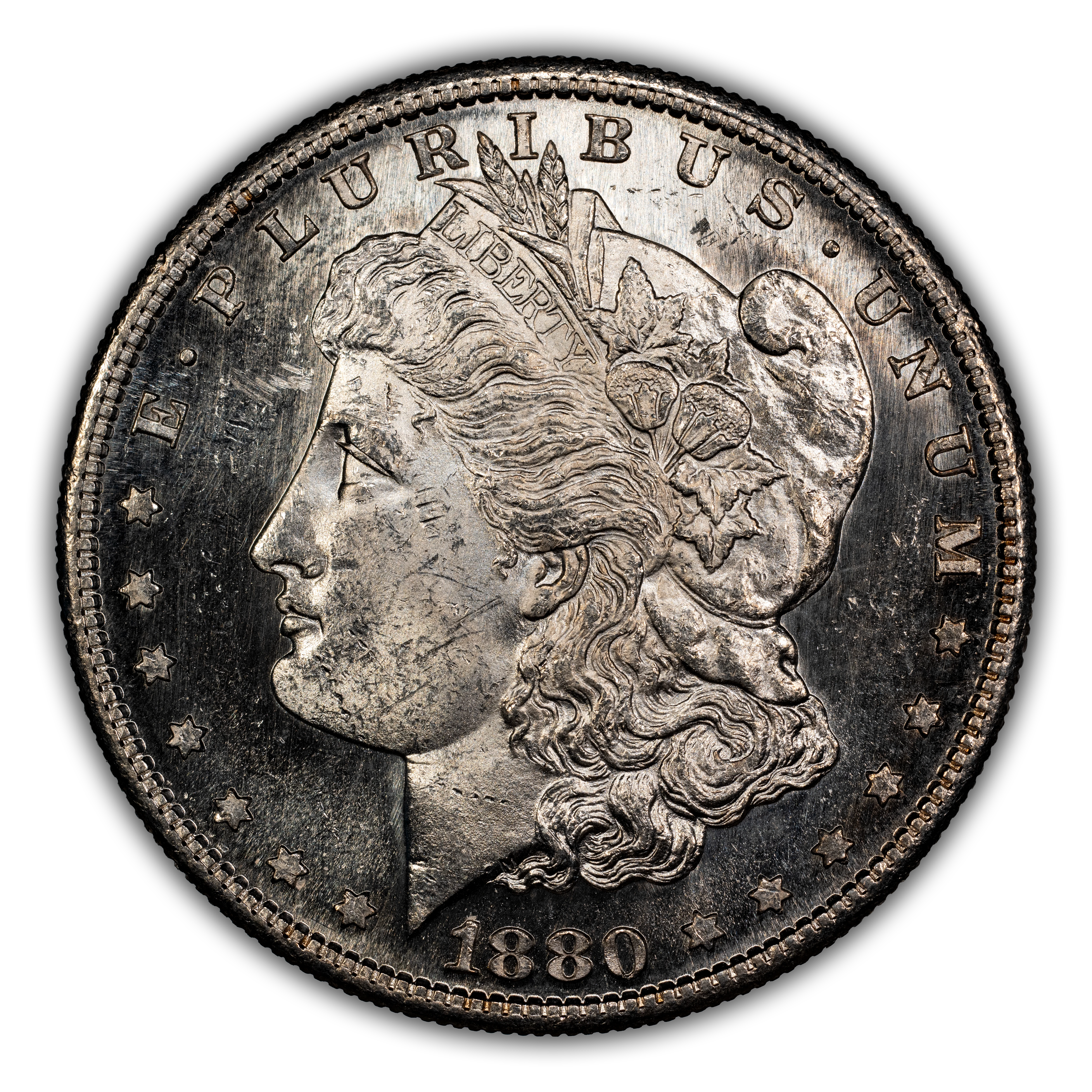 1880-S $1  Doubled Date, VAM-63  MS thumbnail 8