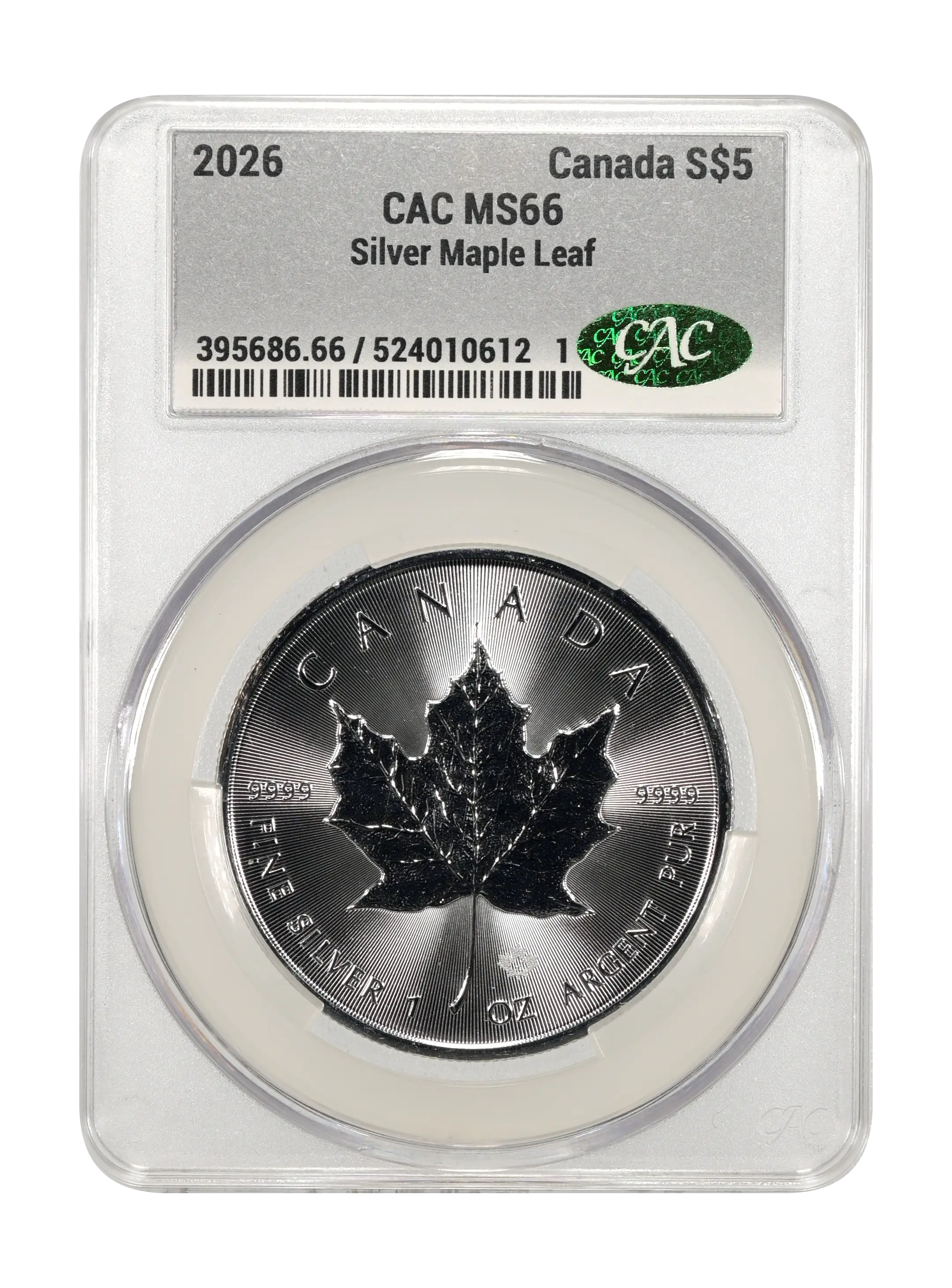 2026 S$5 1oz Silver, Maple Leaf MS thumbnail 8