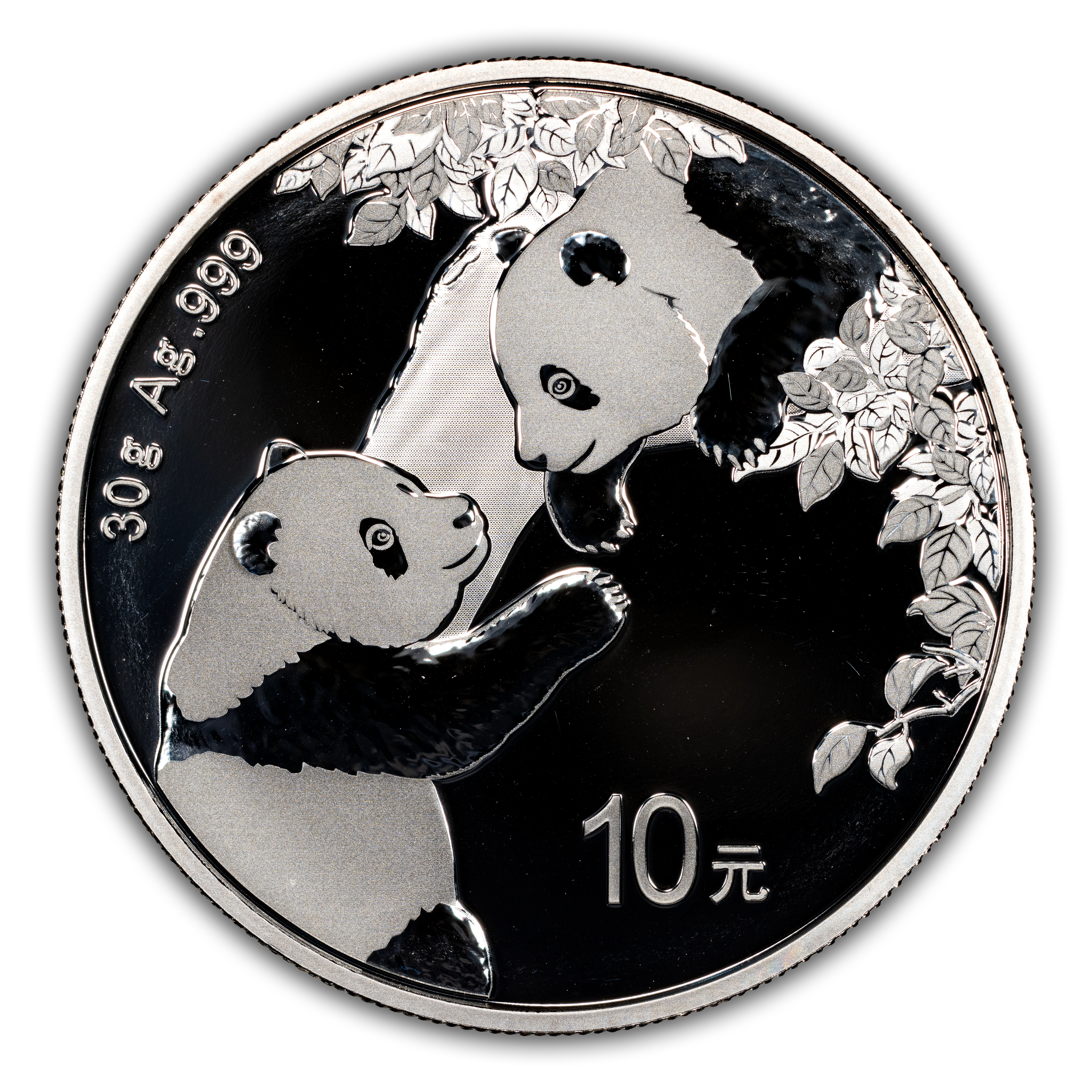 2023 S10Y 1oz Silver, Panda MS thumbnail 2